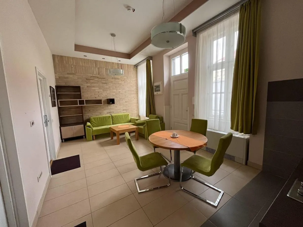 Kitchen or kitchenette in Soleil Apartman Szeged