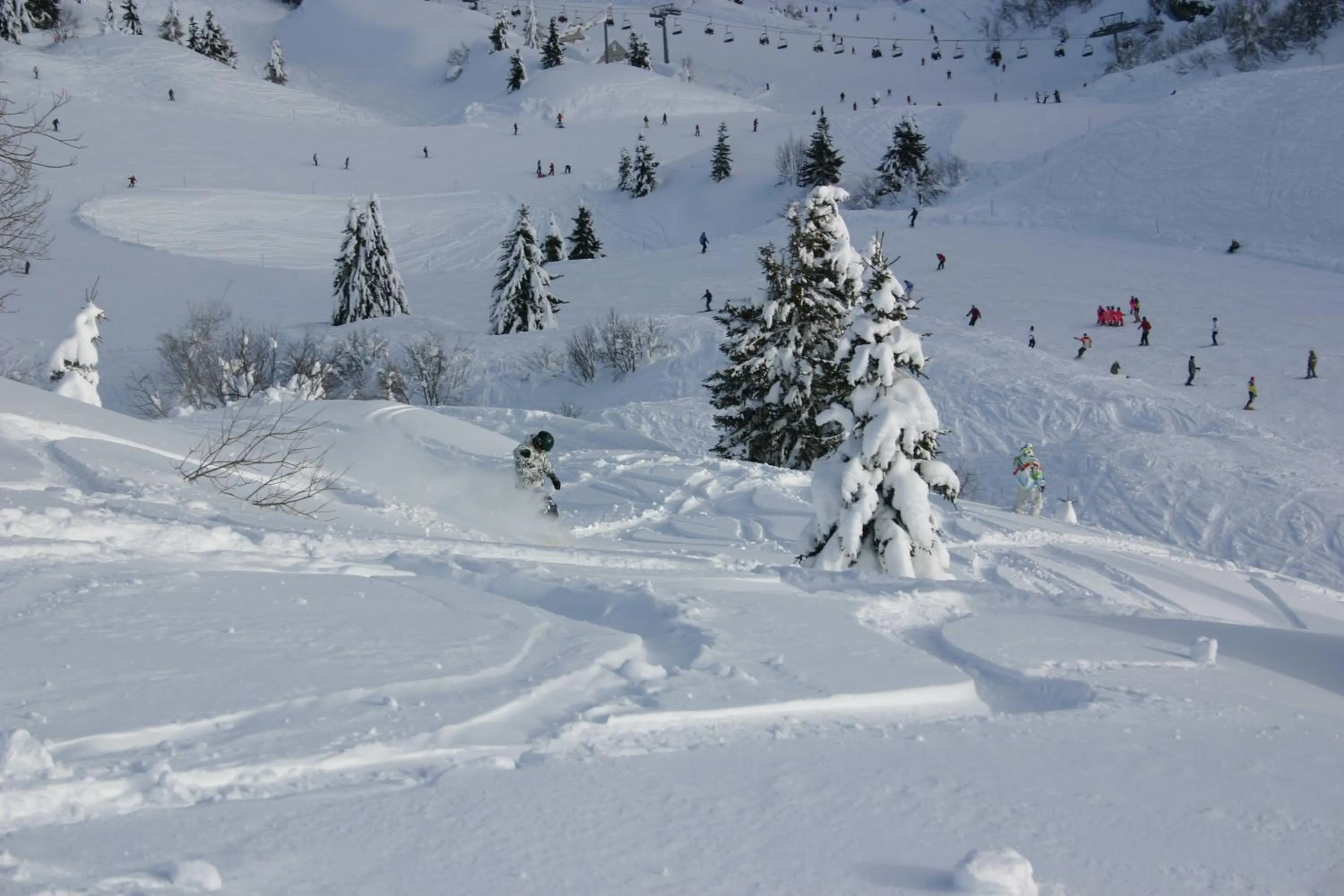 Natural landscape in Osteria Da Alvise