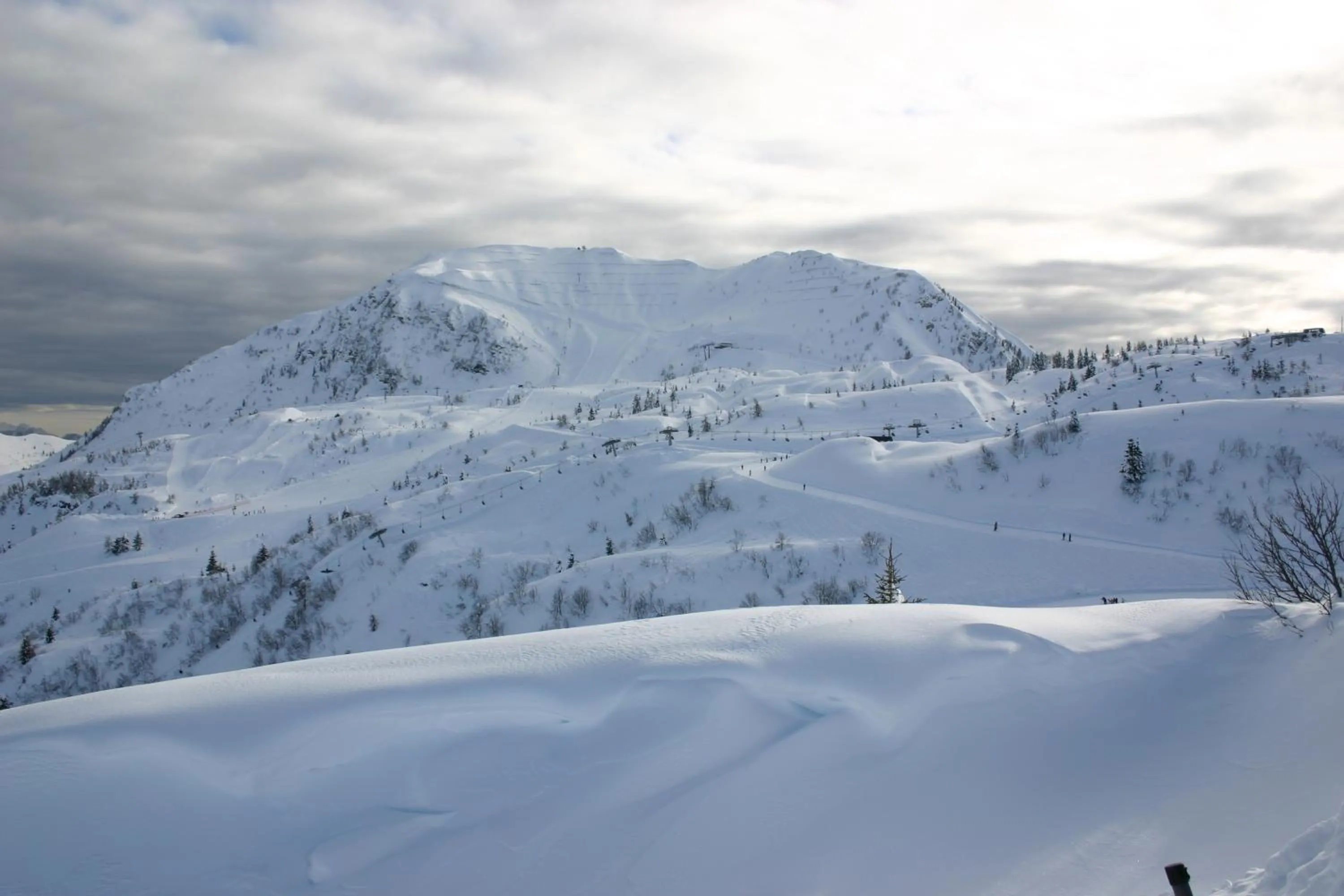 Natural landscape in Osteria Da Alvise