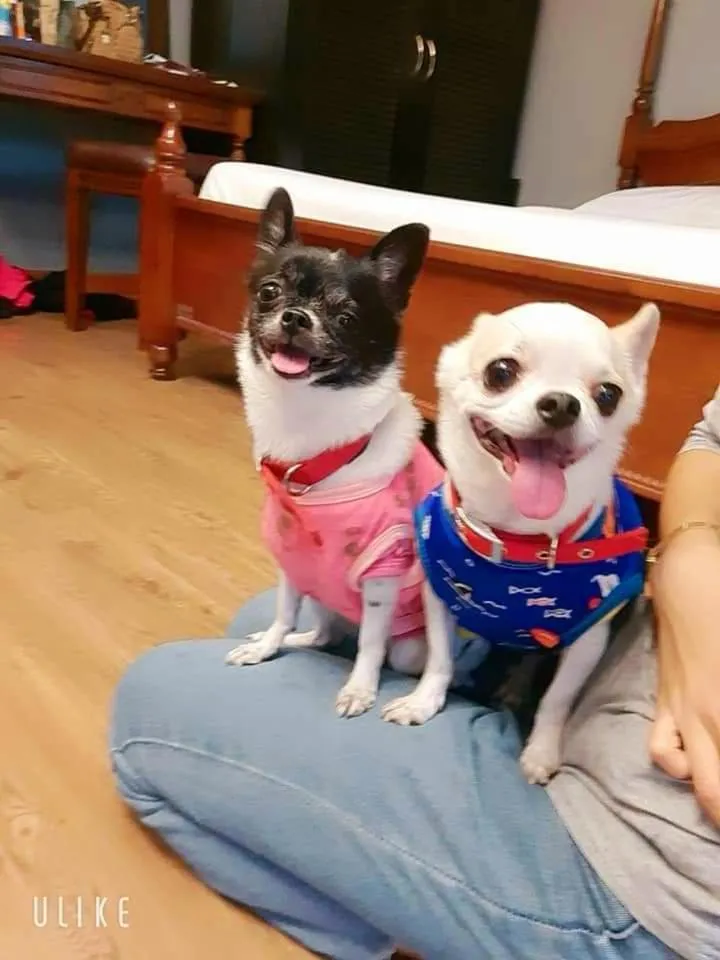 Amantra homestay & village