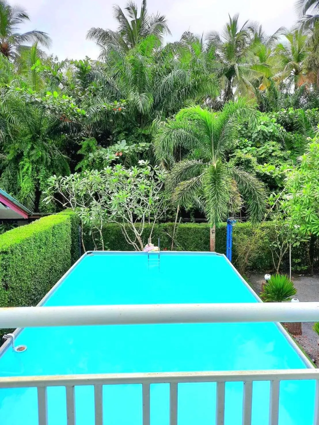 Swimming pool in Amantra homestay & village