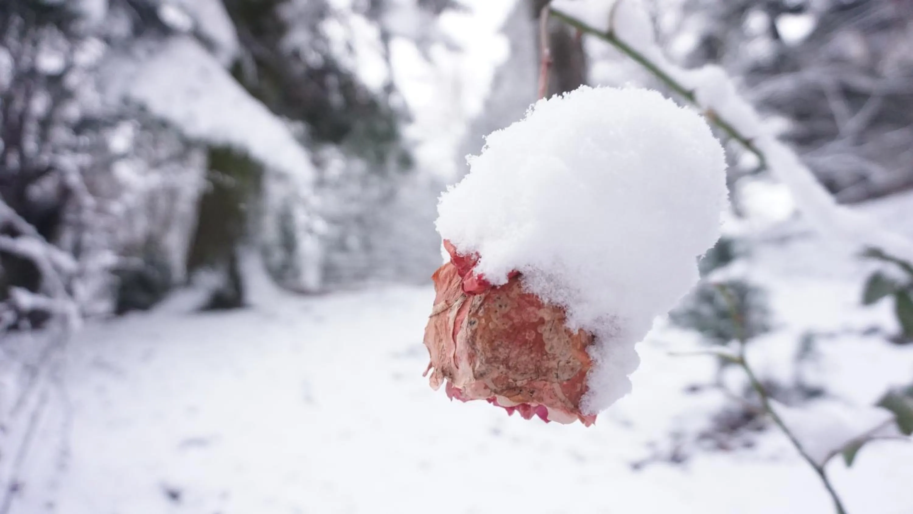 Natural landscape in Vila Arizto