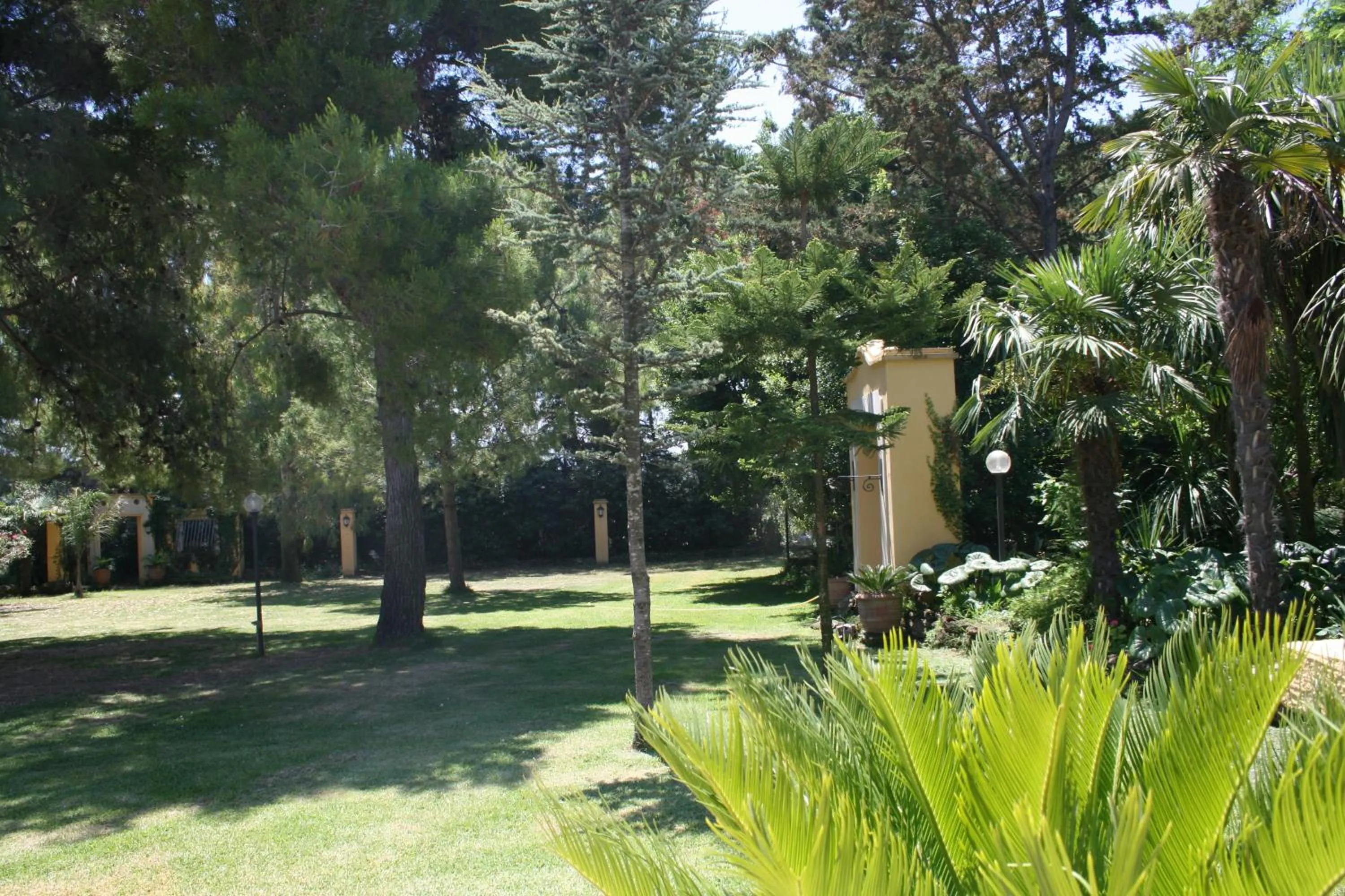 Garden in Hotel Villa Rita