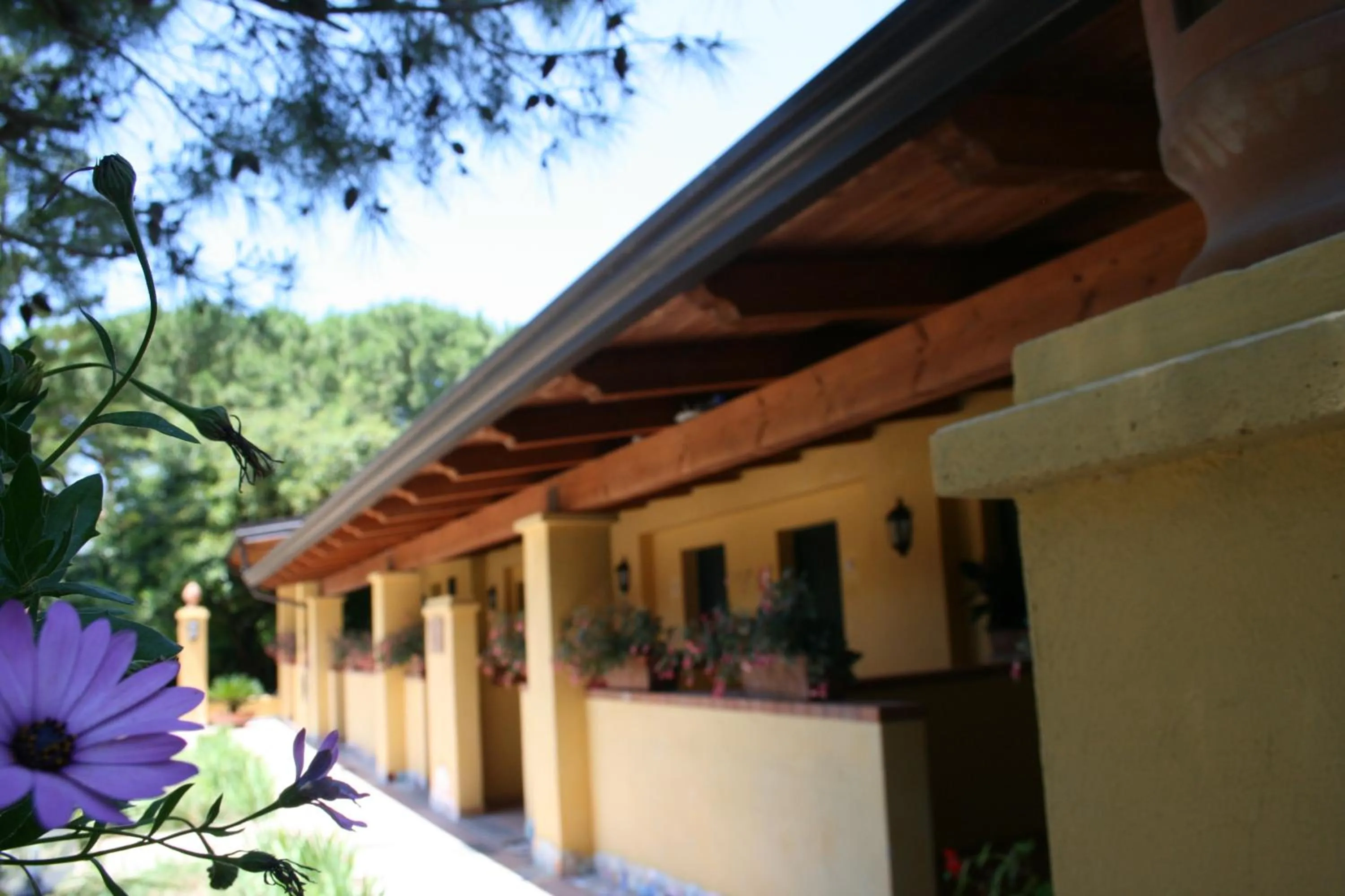 Facade/entrance in Hotel Villa Rita