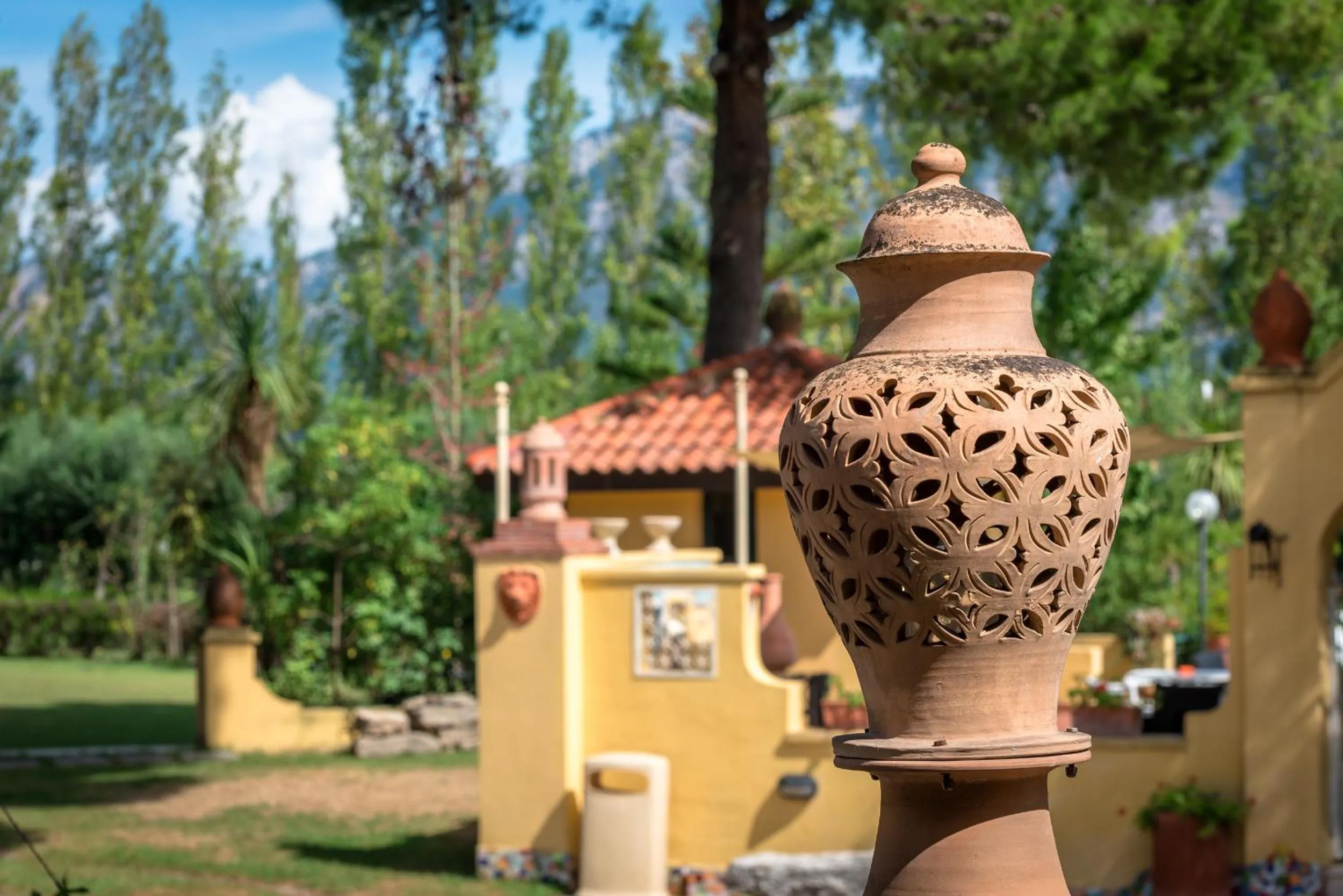 Garden in Hotel Villa Rita