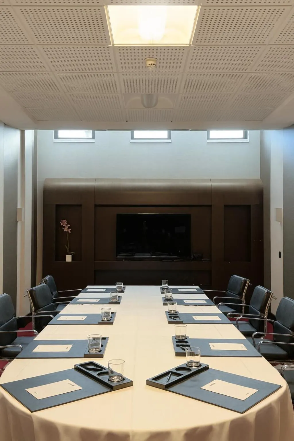 Meeting/conference room in Radisson Blu Hotel, Montpellier