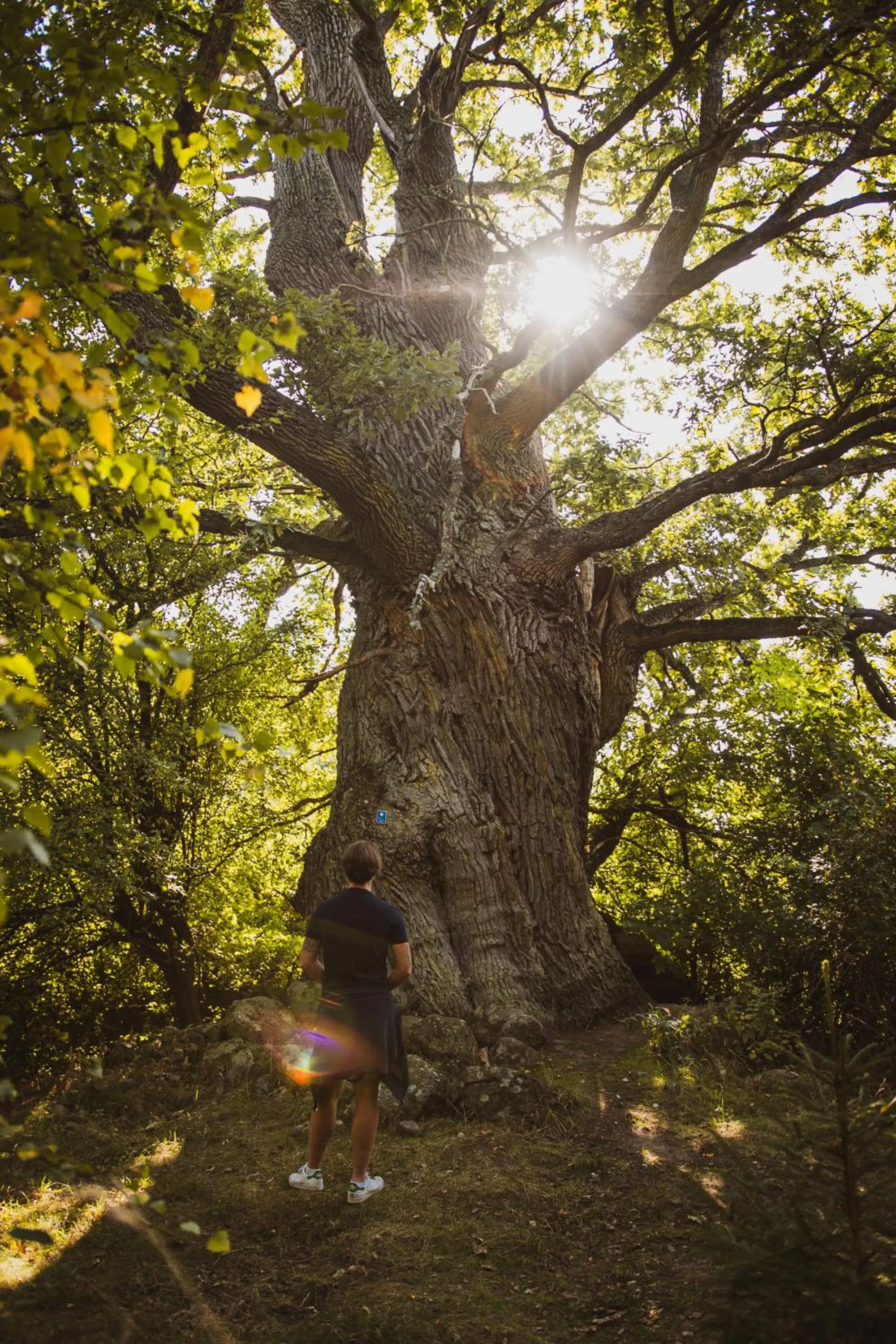 Stufvenäs Gästgifveri