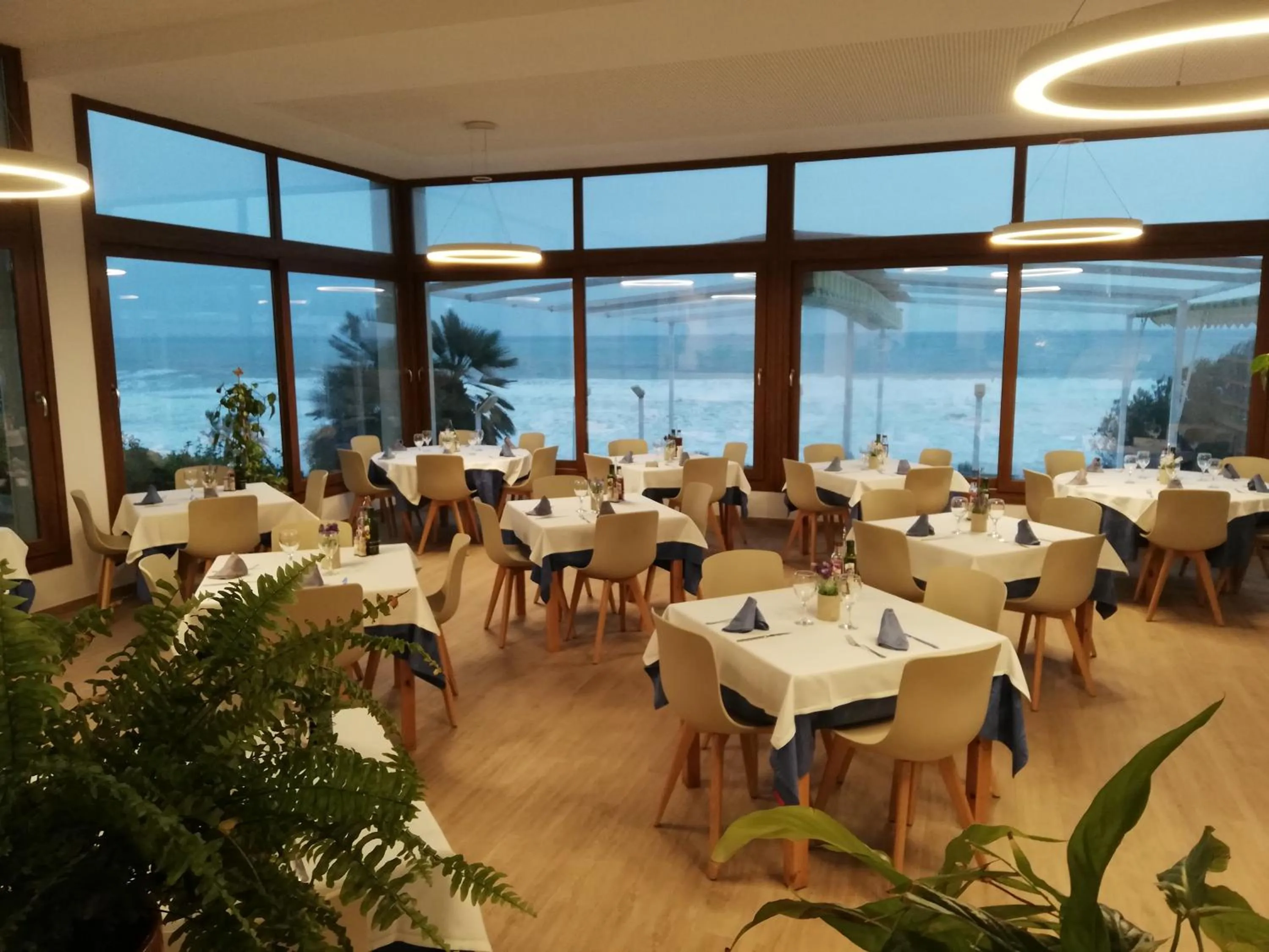 Restaurant/places to eat in Hotel Llorca