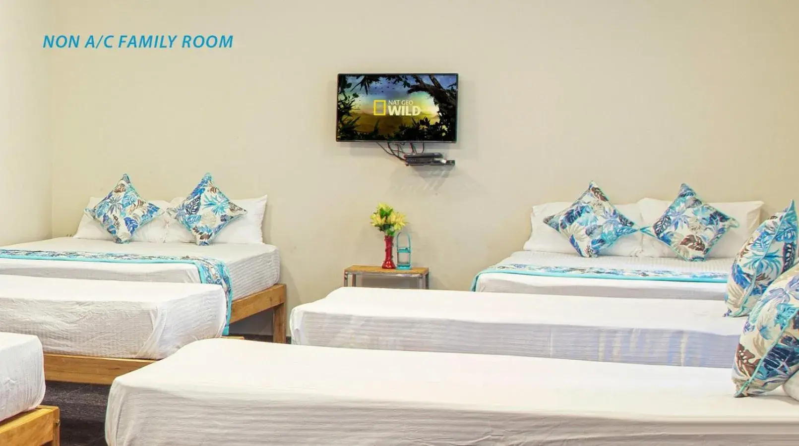 Deluxe Family Room in Blue Ocean Sands - On the Beach Deluxe Family Room in Blue Ocean Sands - On the Beach