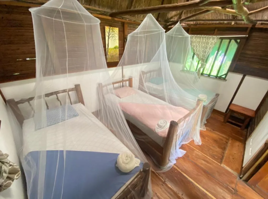Triple Room with Private Bathroom in Casa de la Iguana