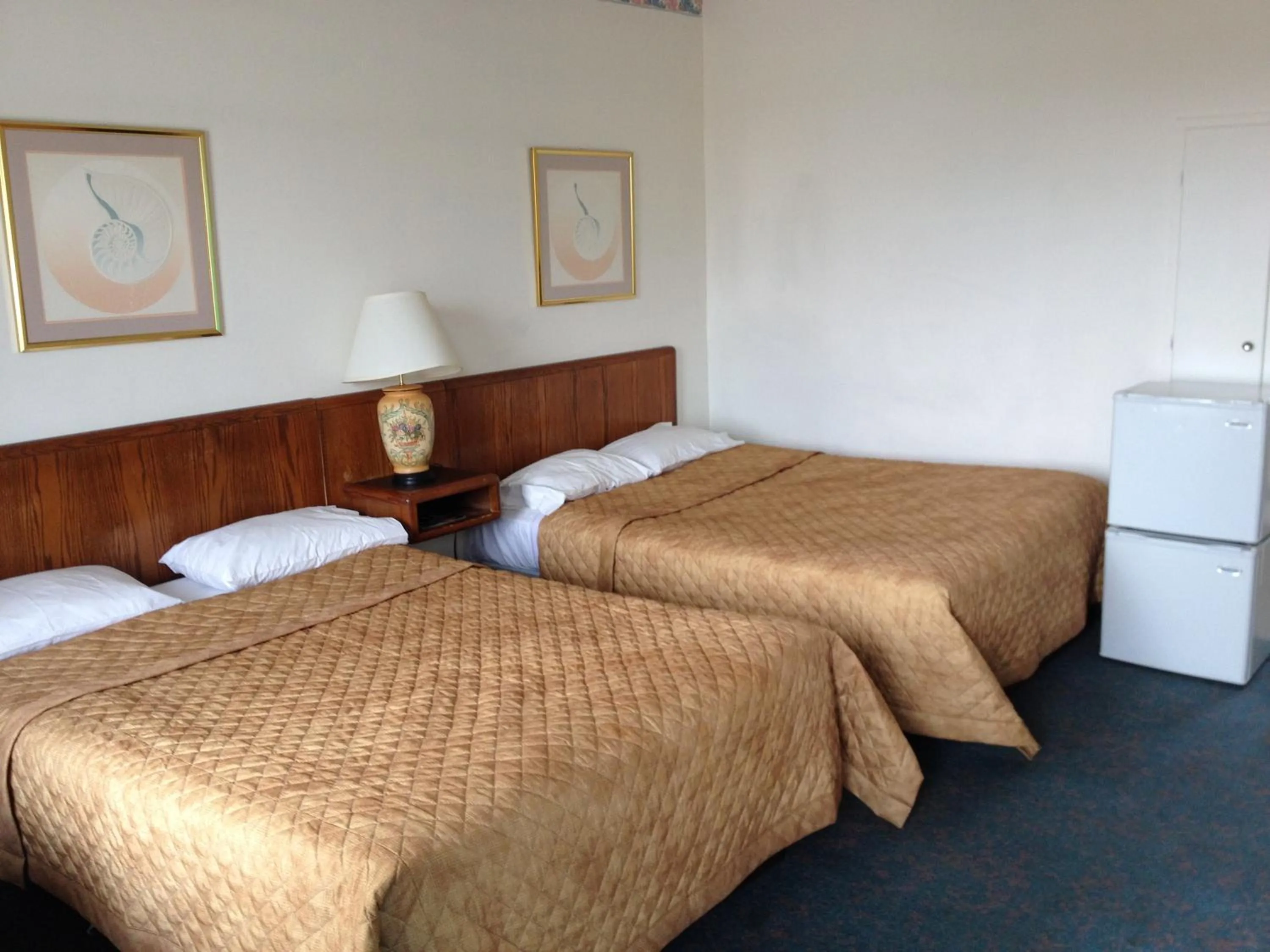 Photo of the whole room, Bed in Rainbow Motor Inn - Fallsview