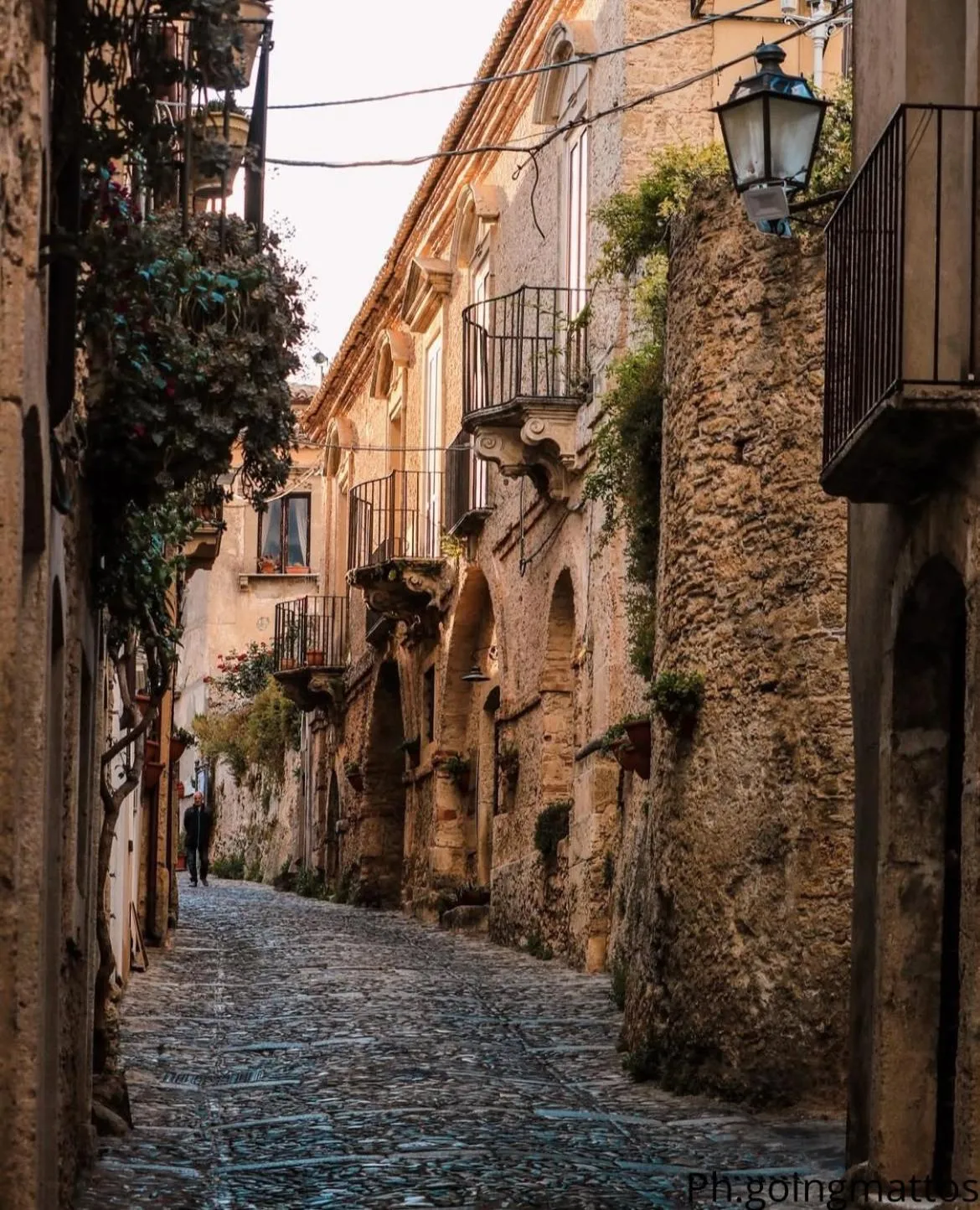 Palazzo Candida B&B