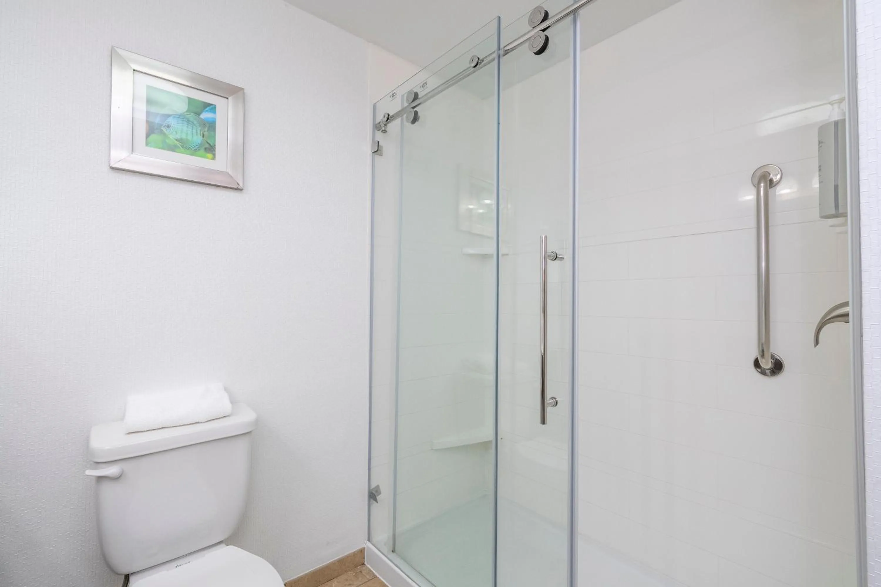 Bathroom in Hampton Inn by Hilton Spring Hill