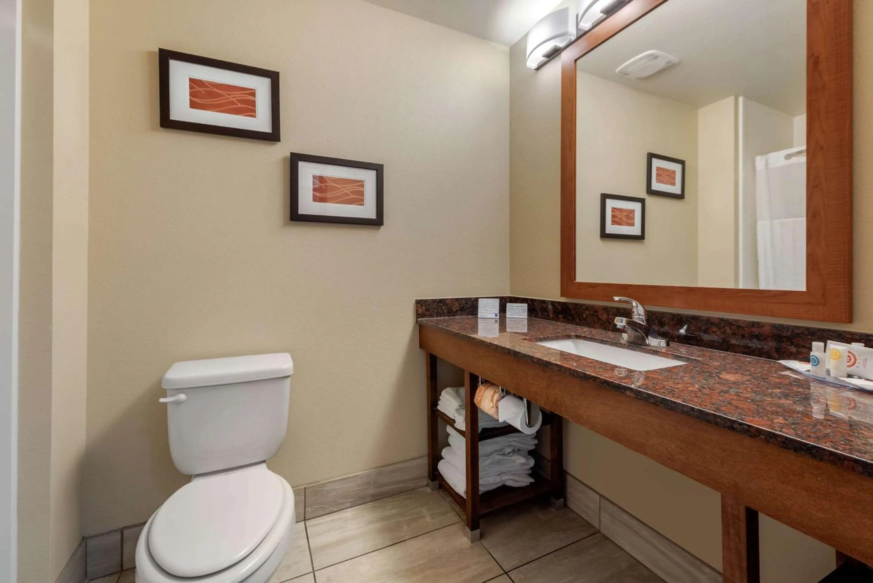 Bathroom in Comfort Inn Limon