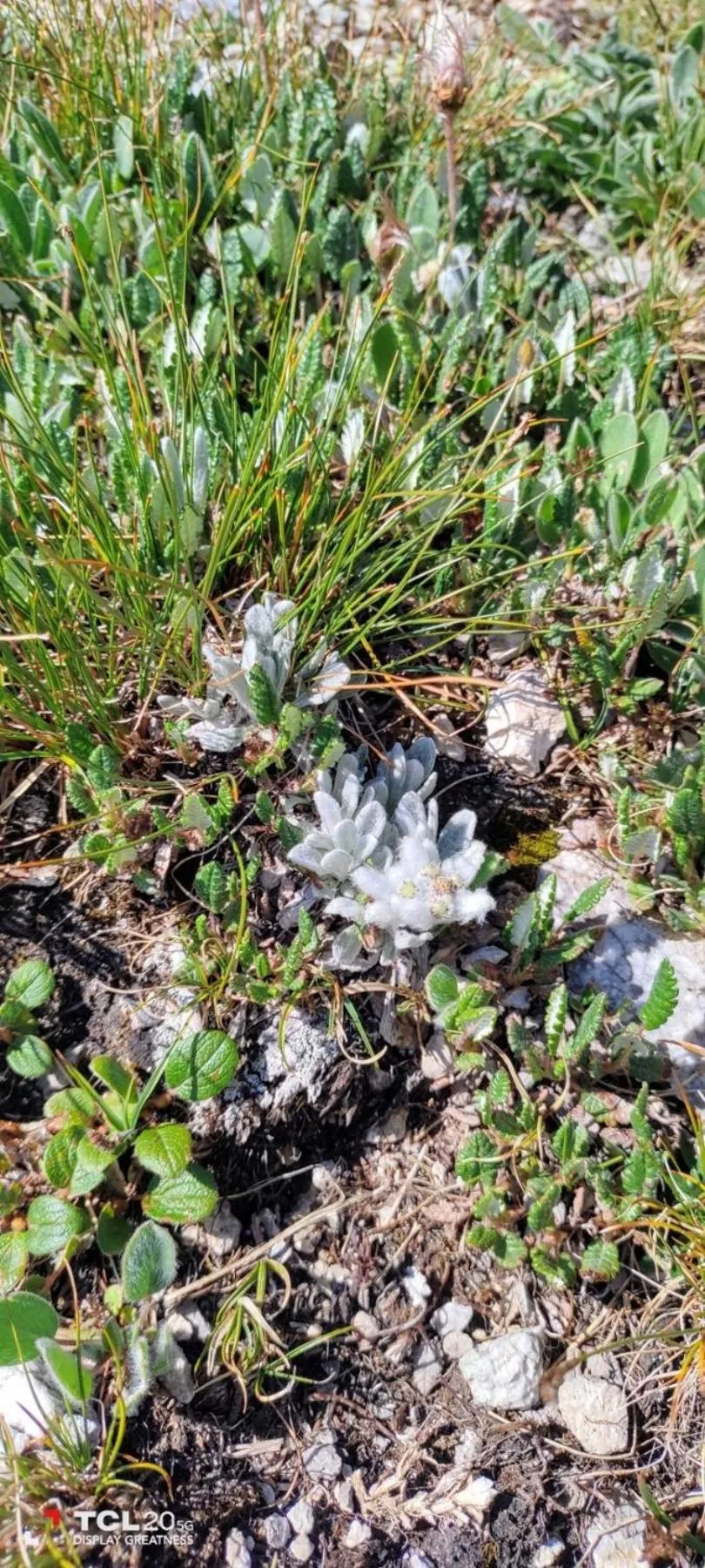 Mountain view in Evelina Palace Hotel