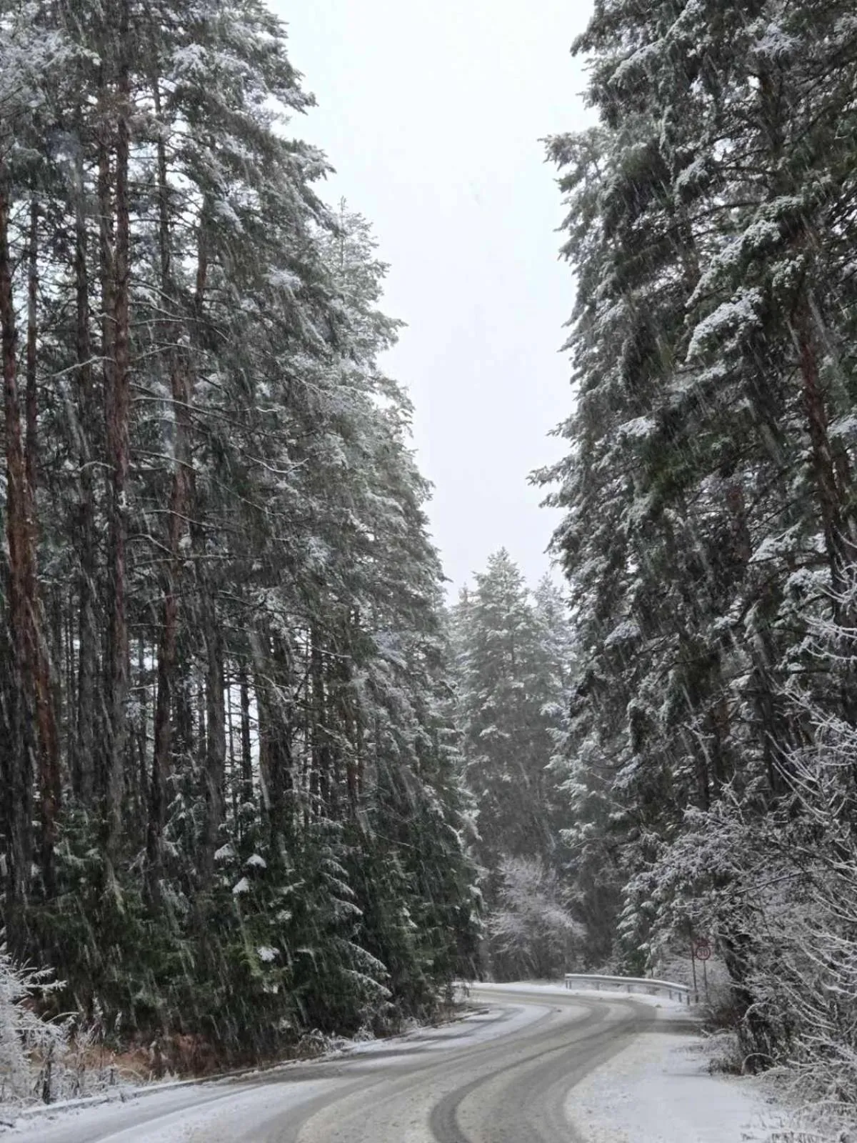 Evelina Palace Hotel