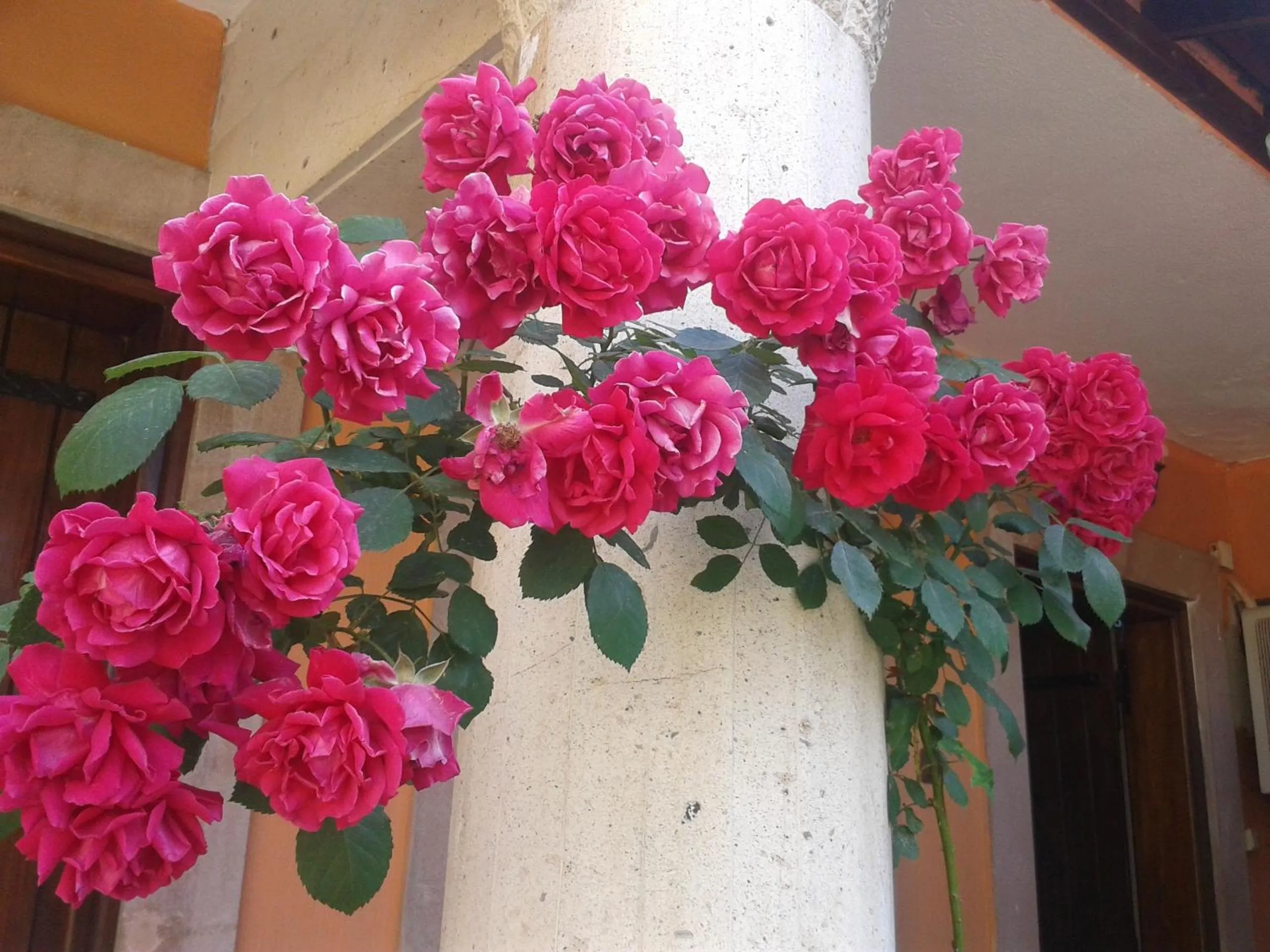 Decorative detail in Akropolis Guest House