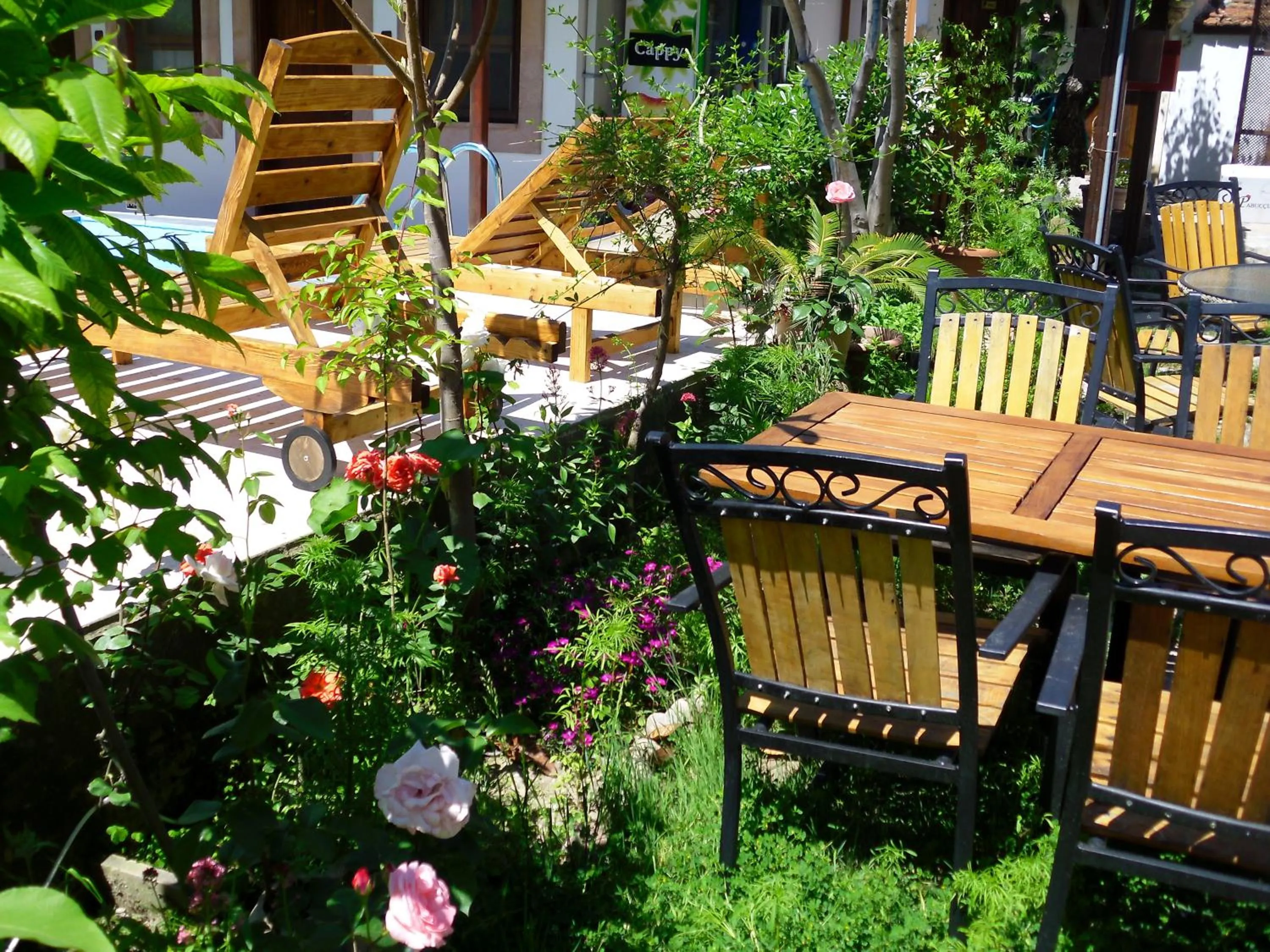 Garden view in Akropolis Guest House