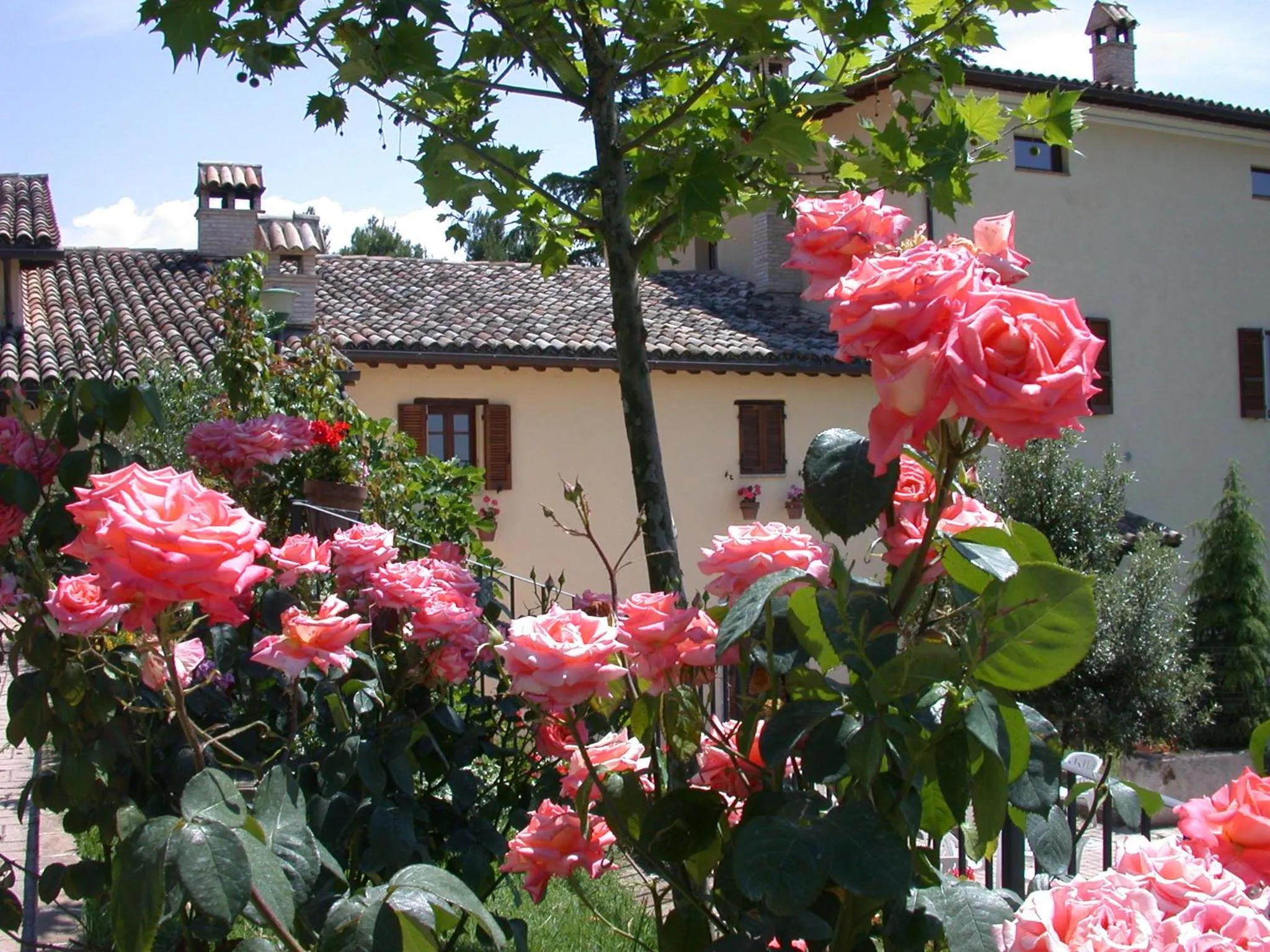 Facade/entrance in Agriturismo Sasso Rosso