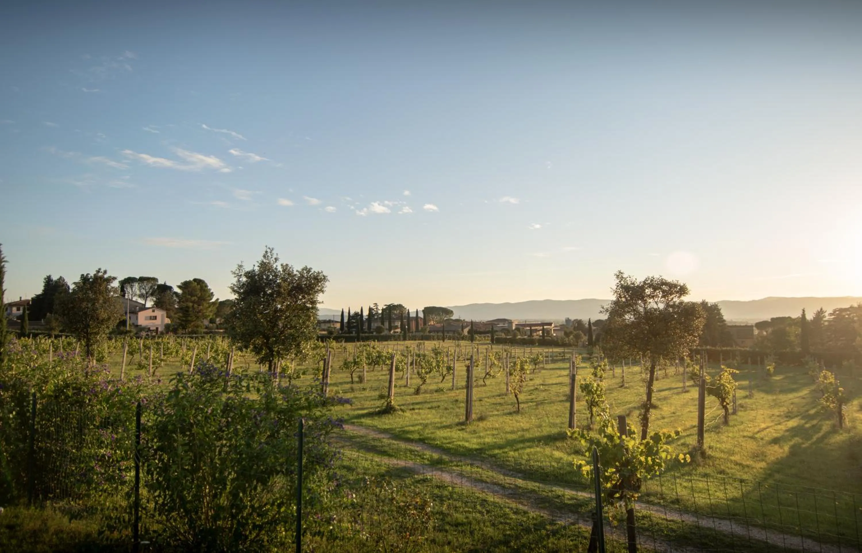 Swimming pool in Agriturismo Sasso Rosso