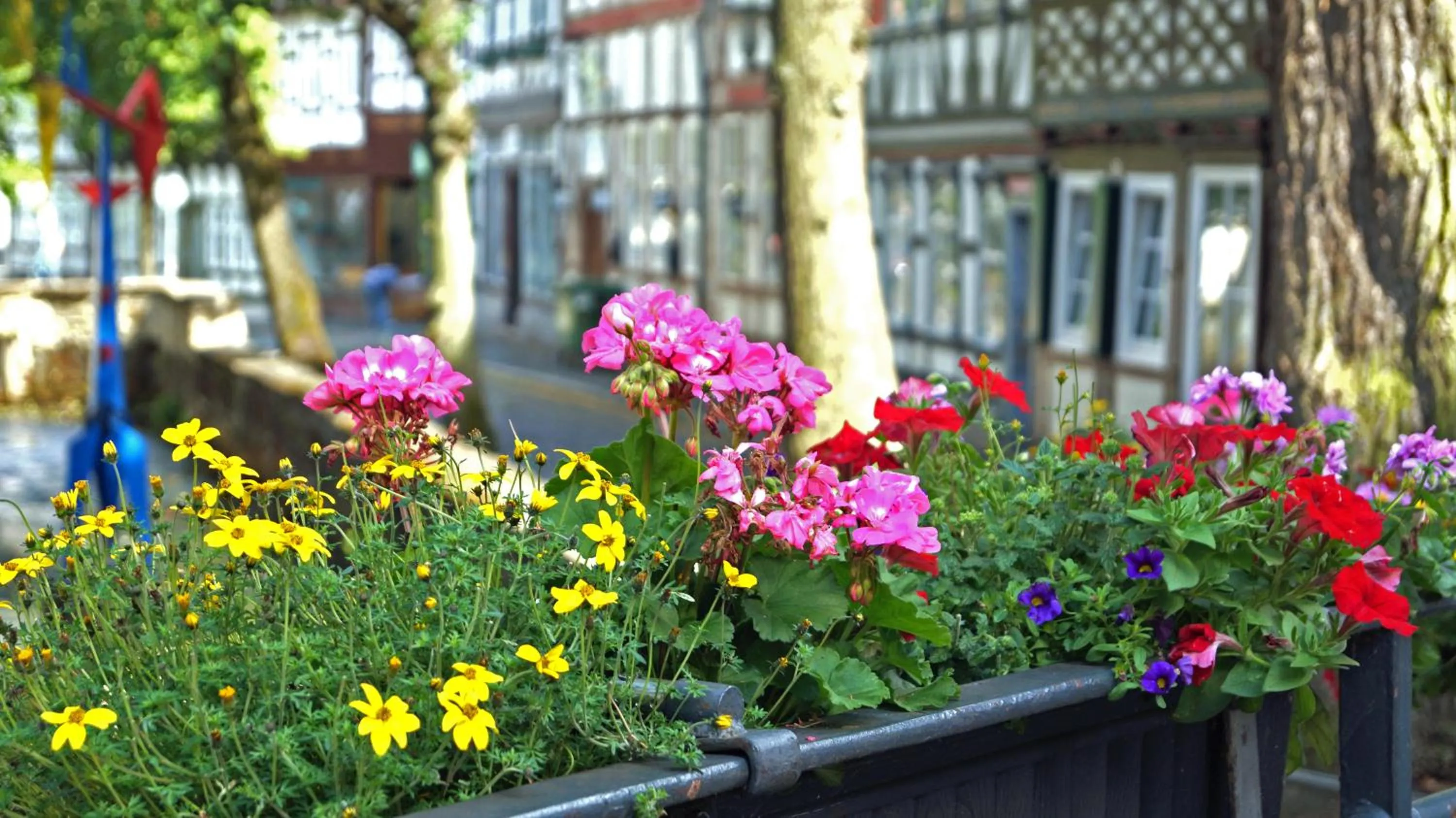 Day in Hotel Kaiserhof