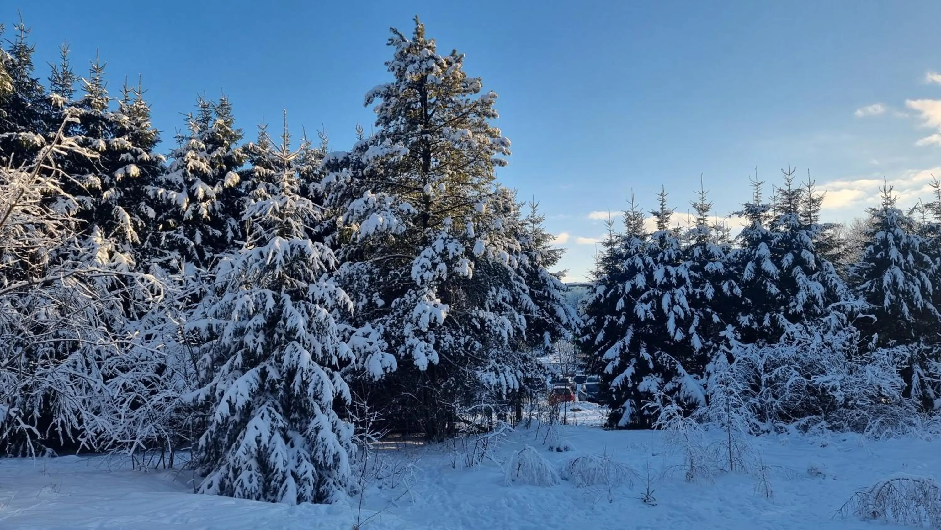 Winter in Hotel Zum Gründle