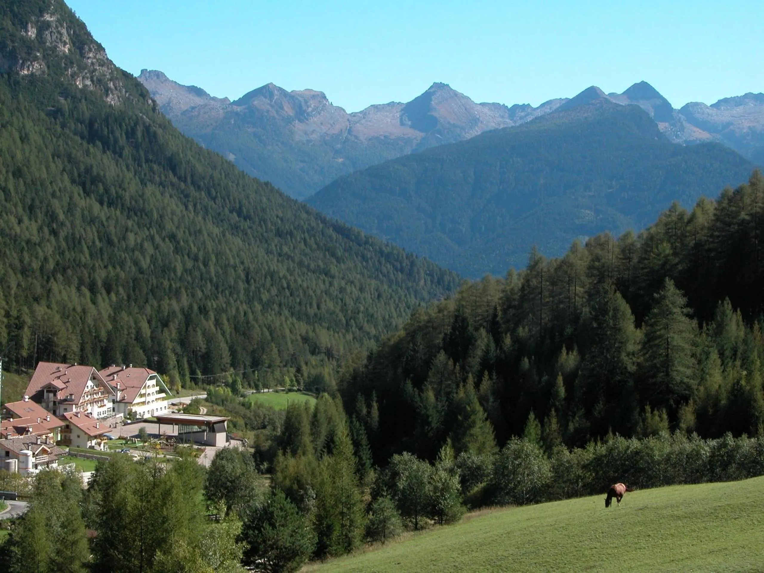 Bird's eye view in Hotel Erica