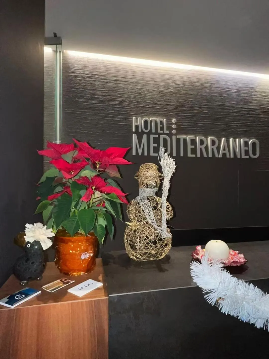 Lobby or reception in Hotel Mediterraneo
