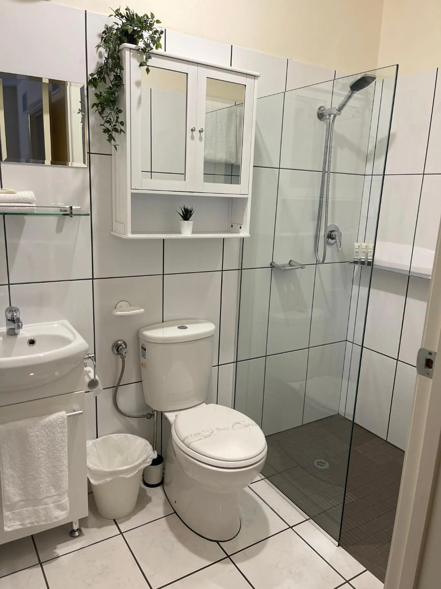 Bathroom in Austral Place 88 via Merri River