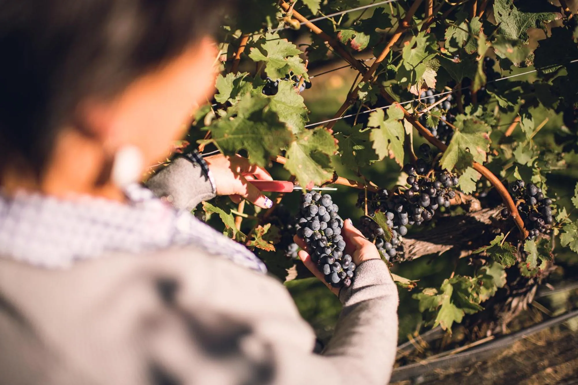 Autumn in Hotel Mandelhof