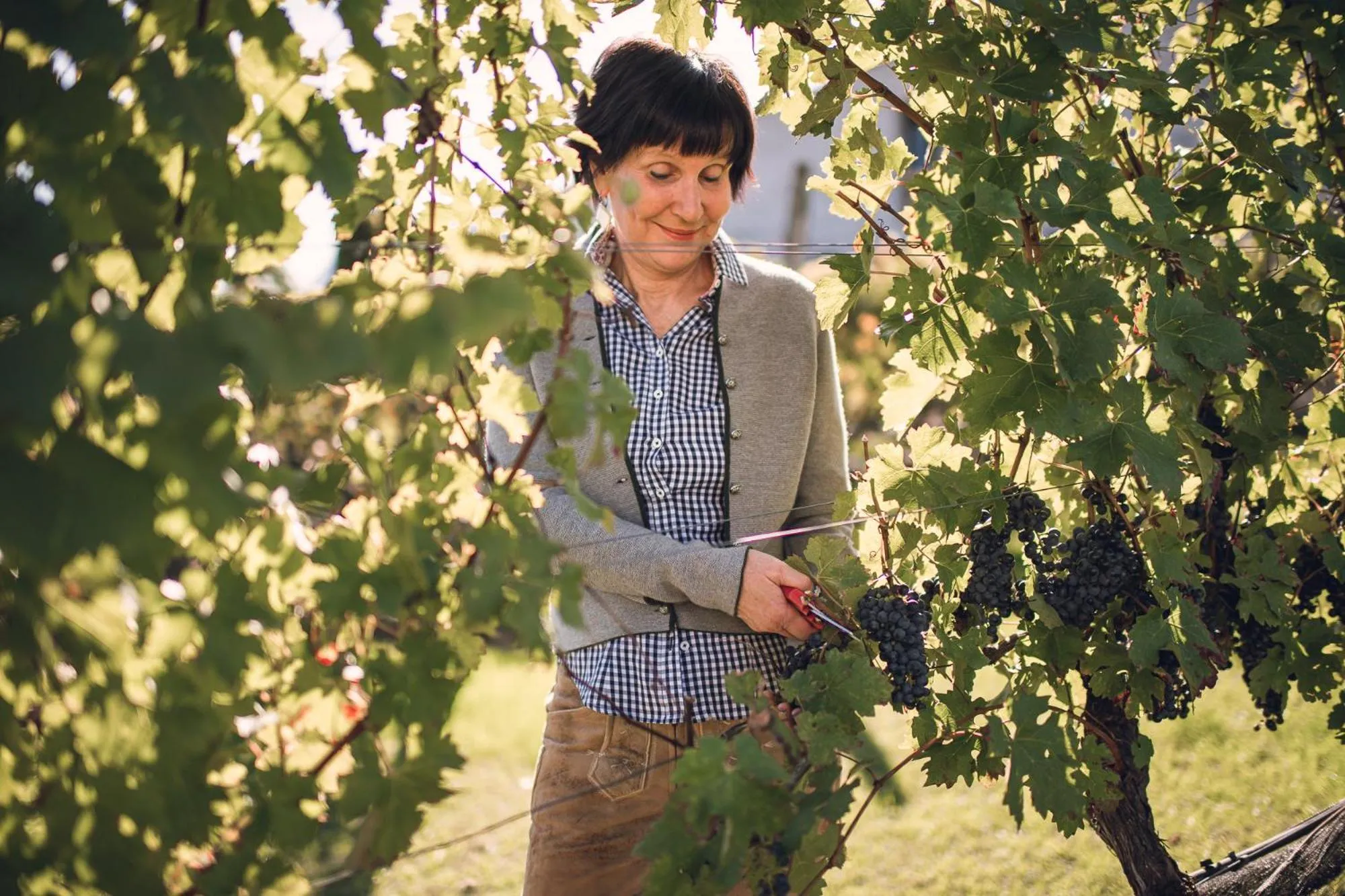 Autumn in Hotel Mandelhof