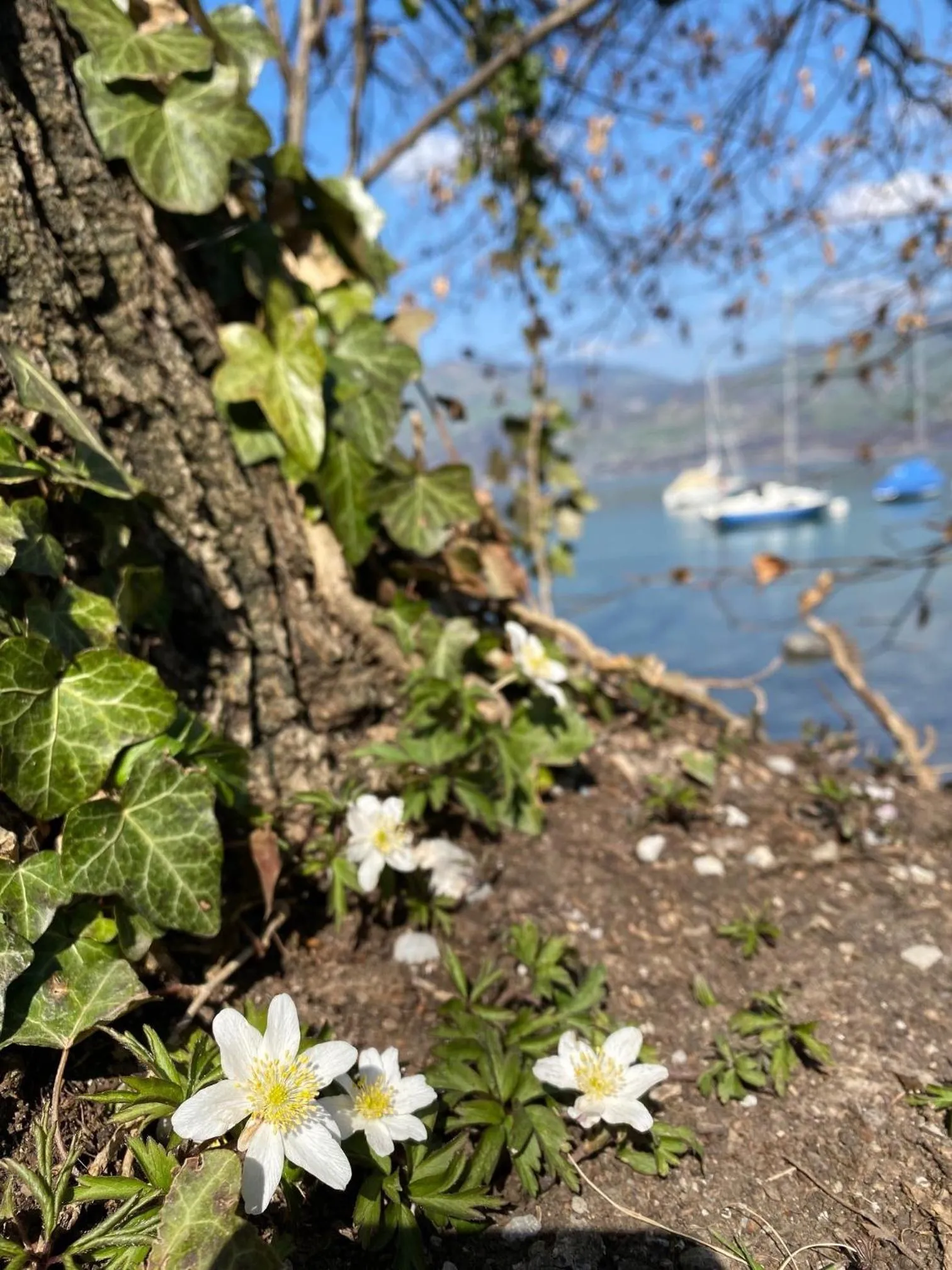 Activities in Hotel Seaside