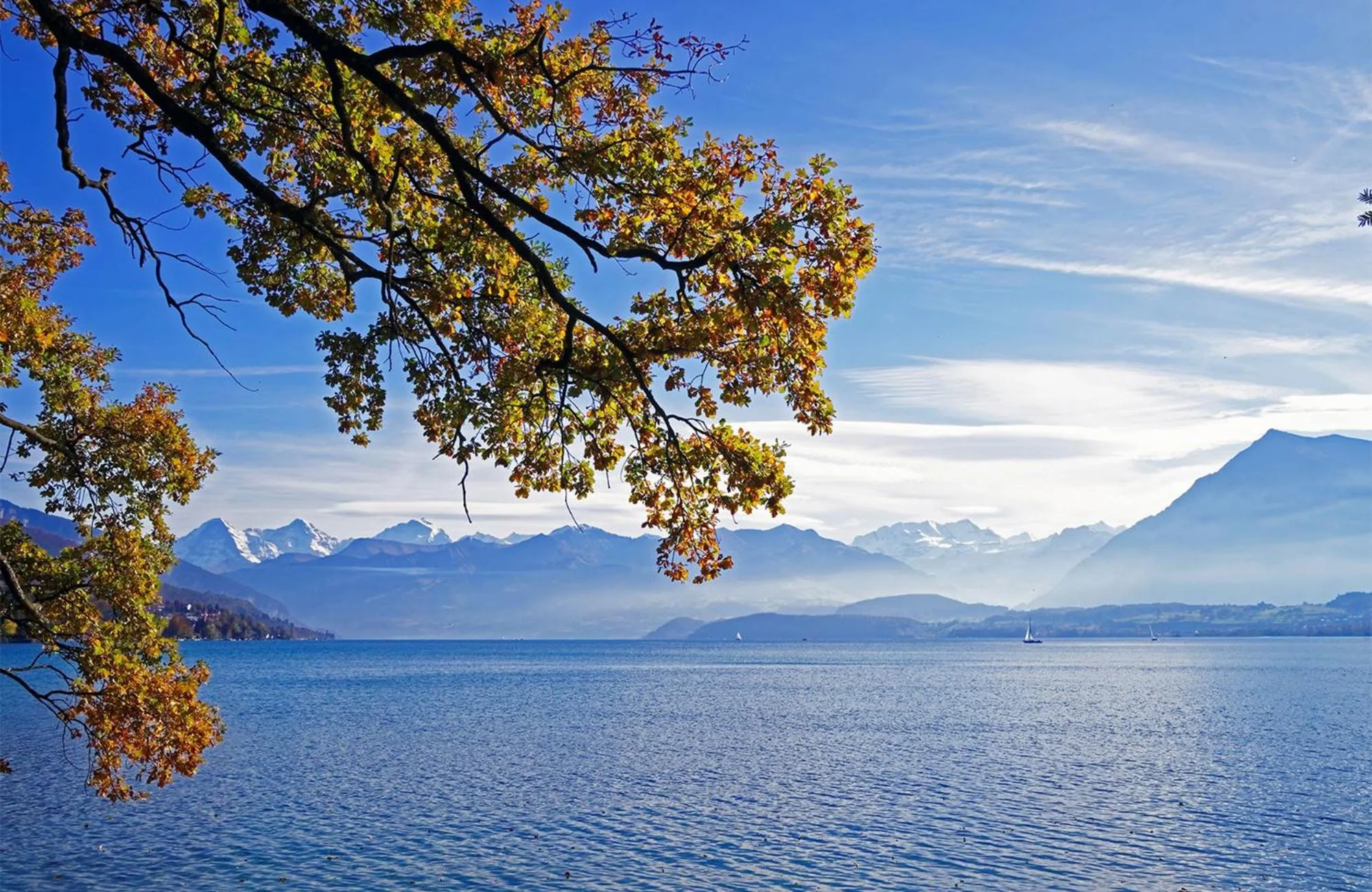 Area and facilities in Hotel Seaside