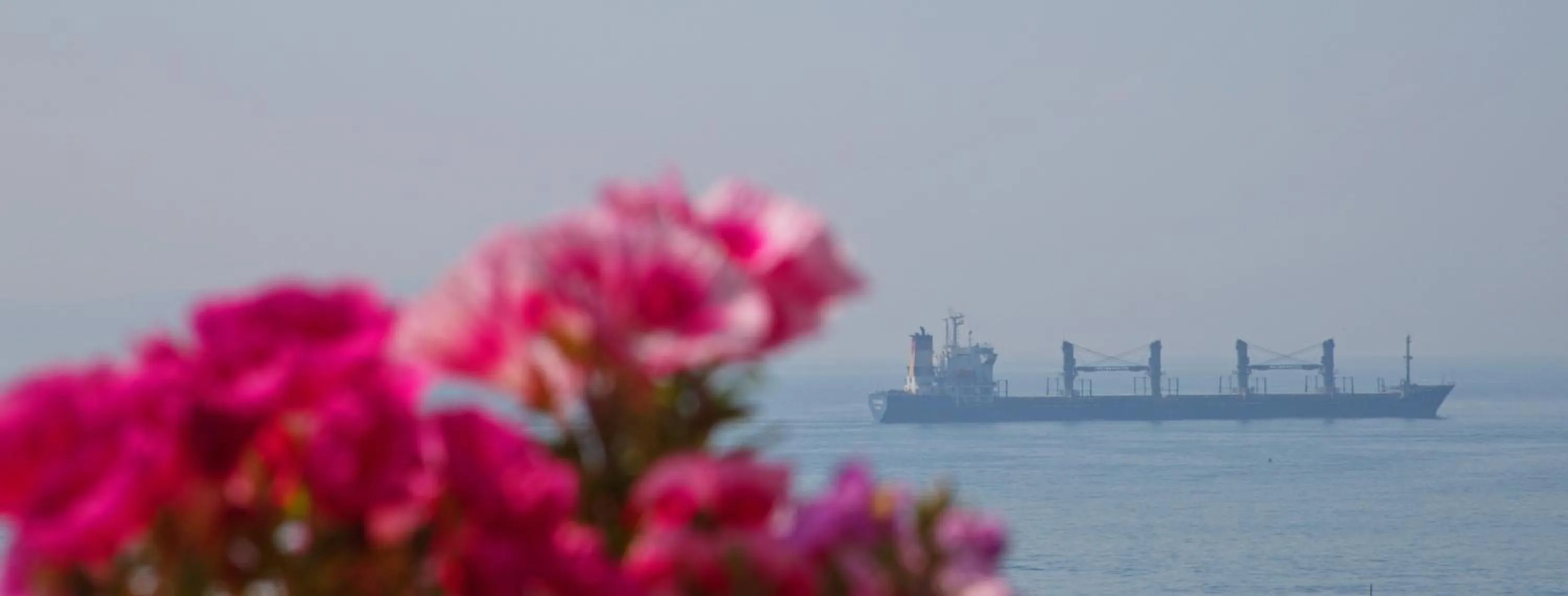 Beach in Blue Tuana Hotel Old City