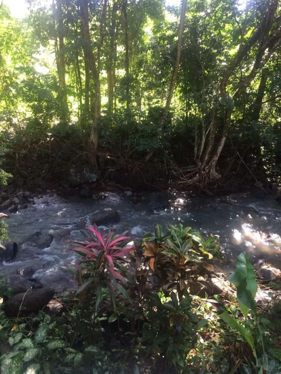 Natural landscape in Kootney Resorts