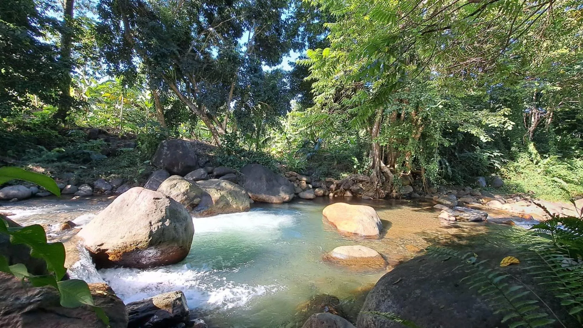 Swimming pool in Kootney Resorts