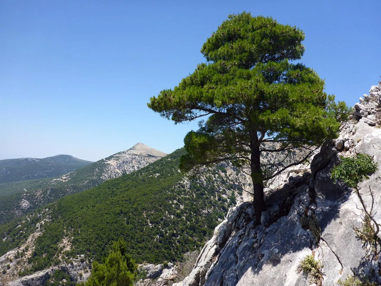 Location in Parnis Palace