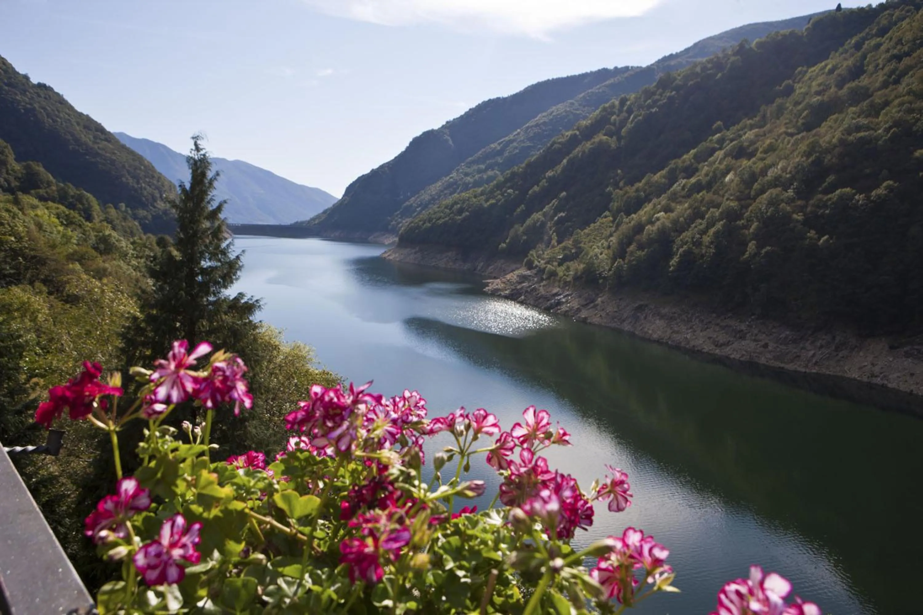 View (from property/room) in Hotel Al Lago