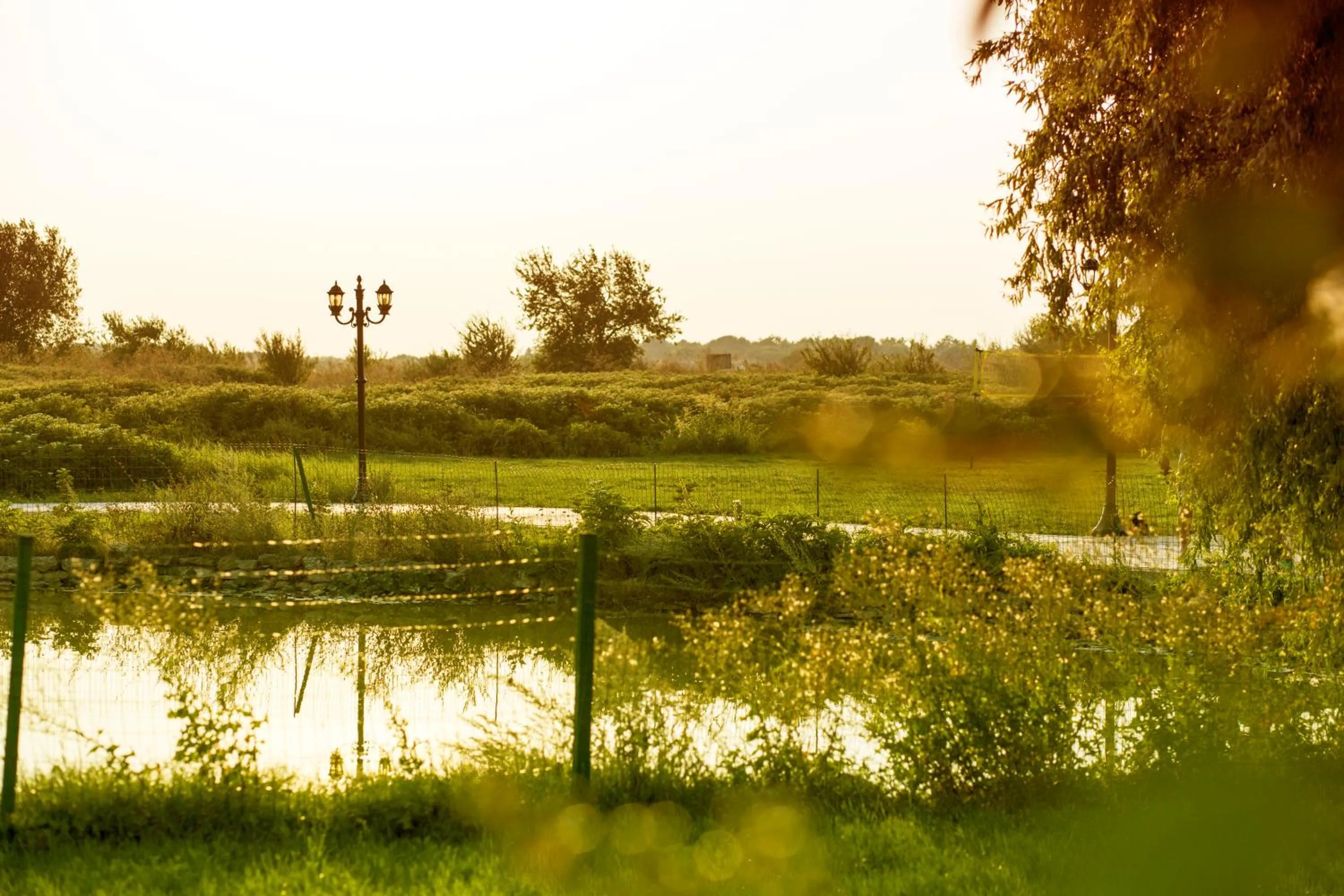 Garden in Kaliakria Resort