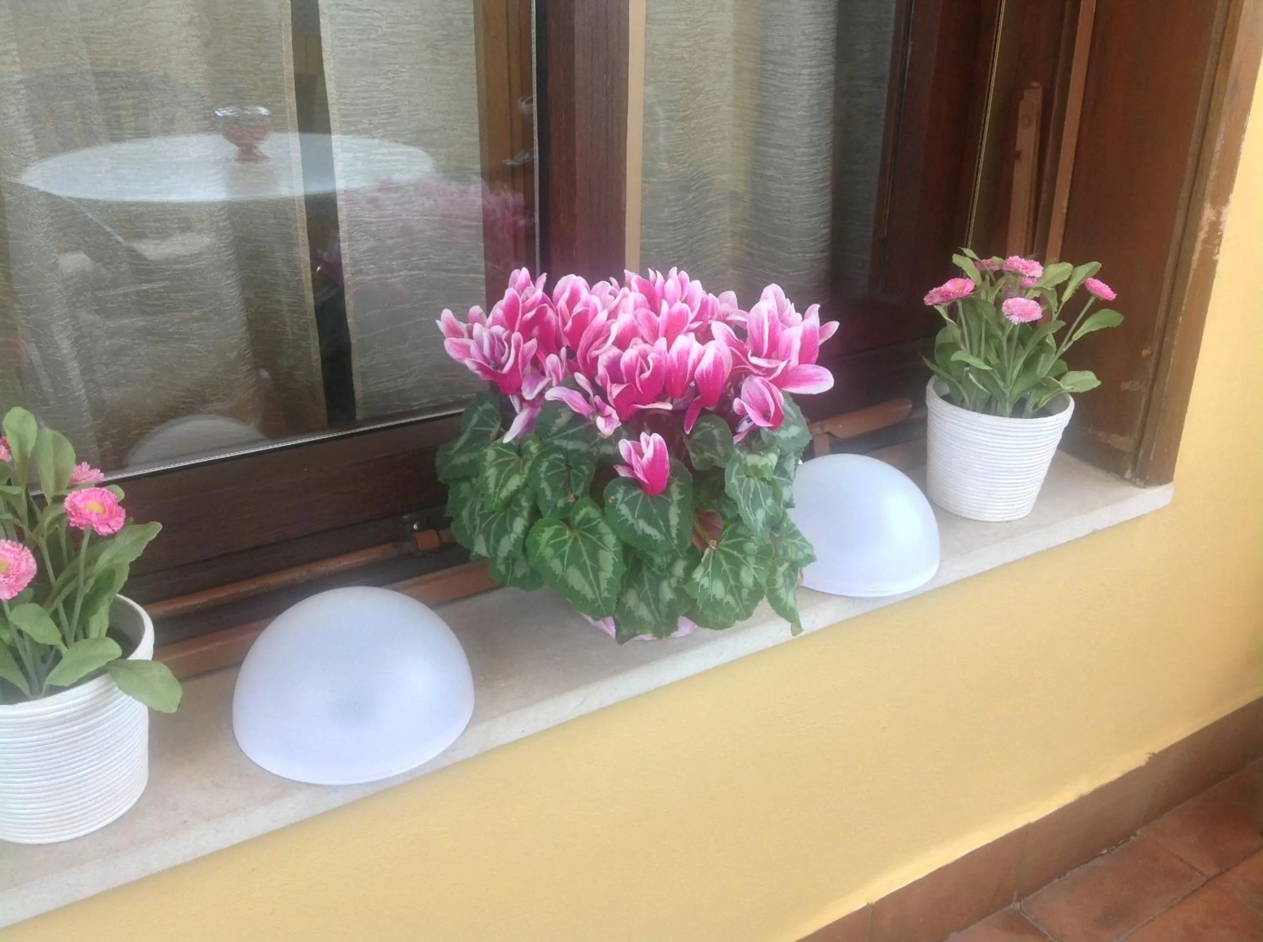 Balcony/Terrace in B&B Dei Cavalieri