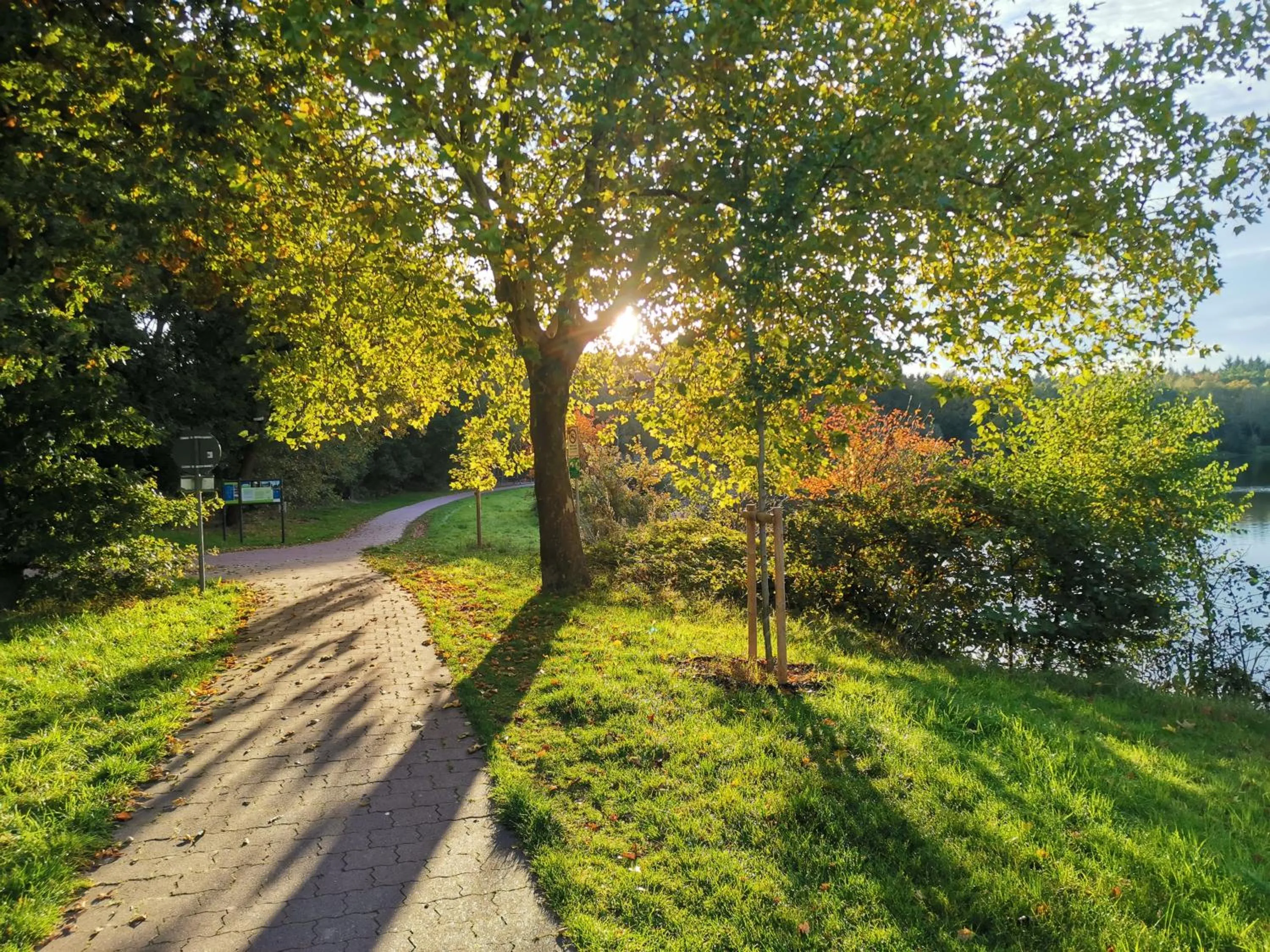 Area and facilities in Haus am See Haselünne