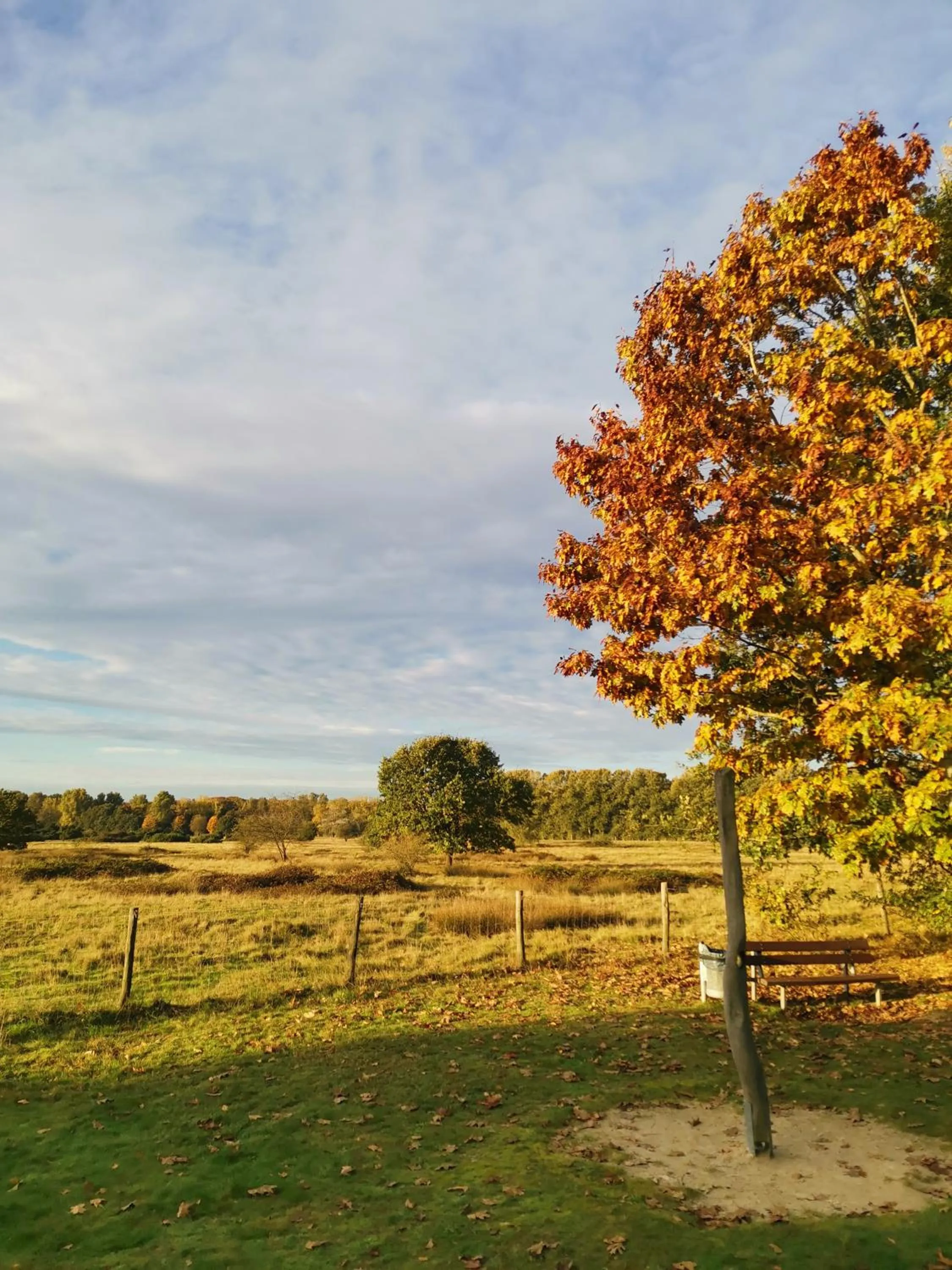 Area and facilities in Haus am See Haselünne