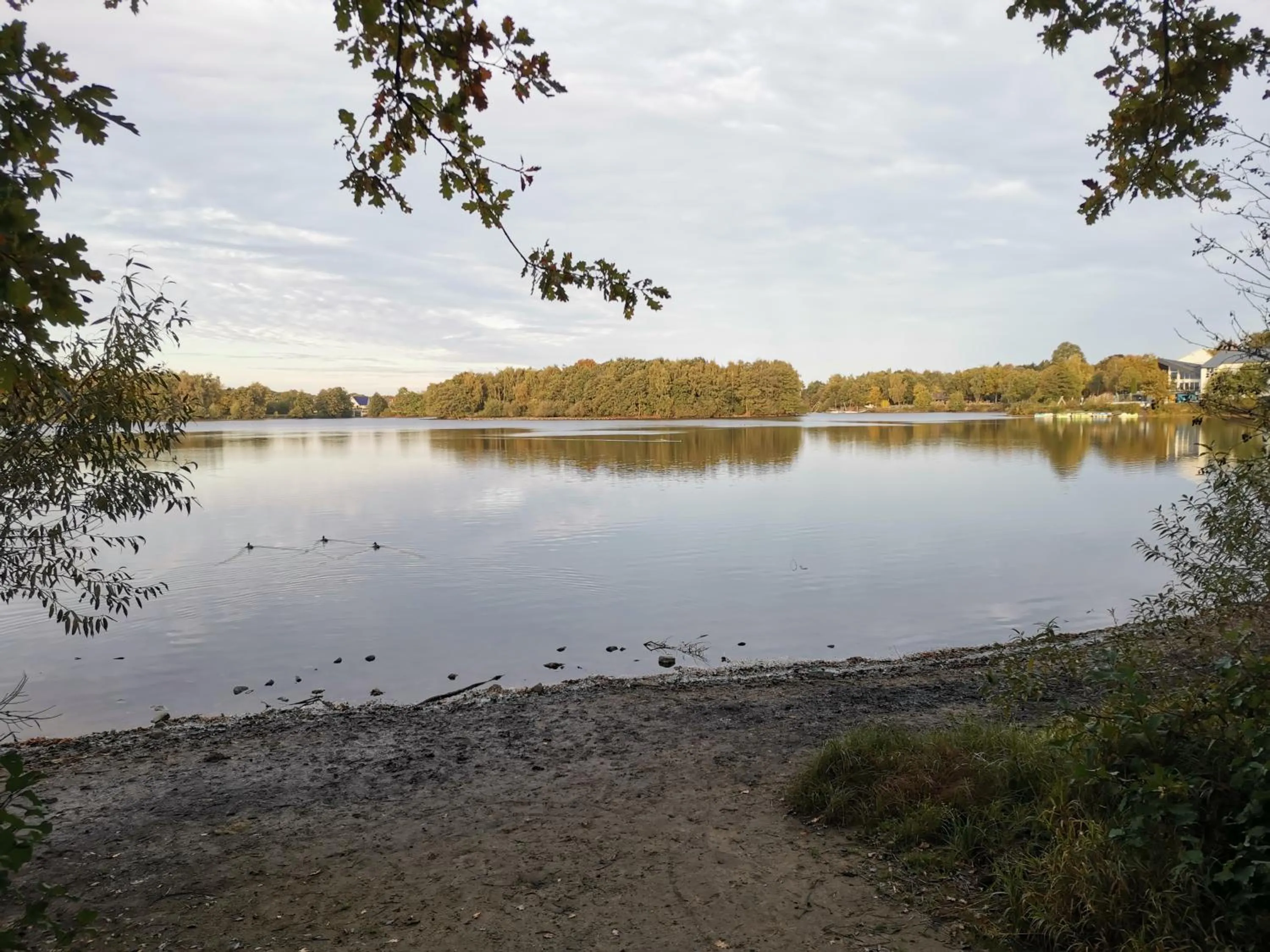 Area and facilities in Haus am See Haselünne