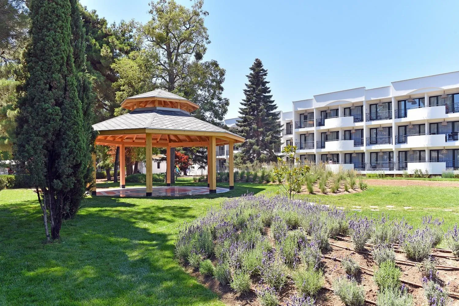 Garden in iHotel Sunny Beach