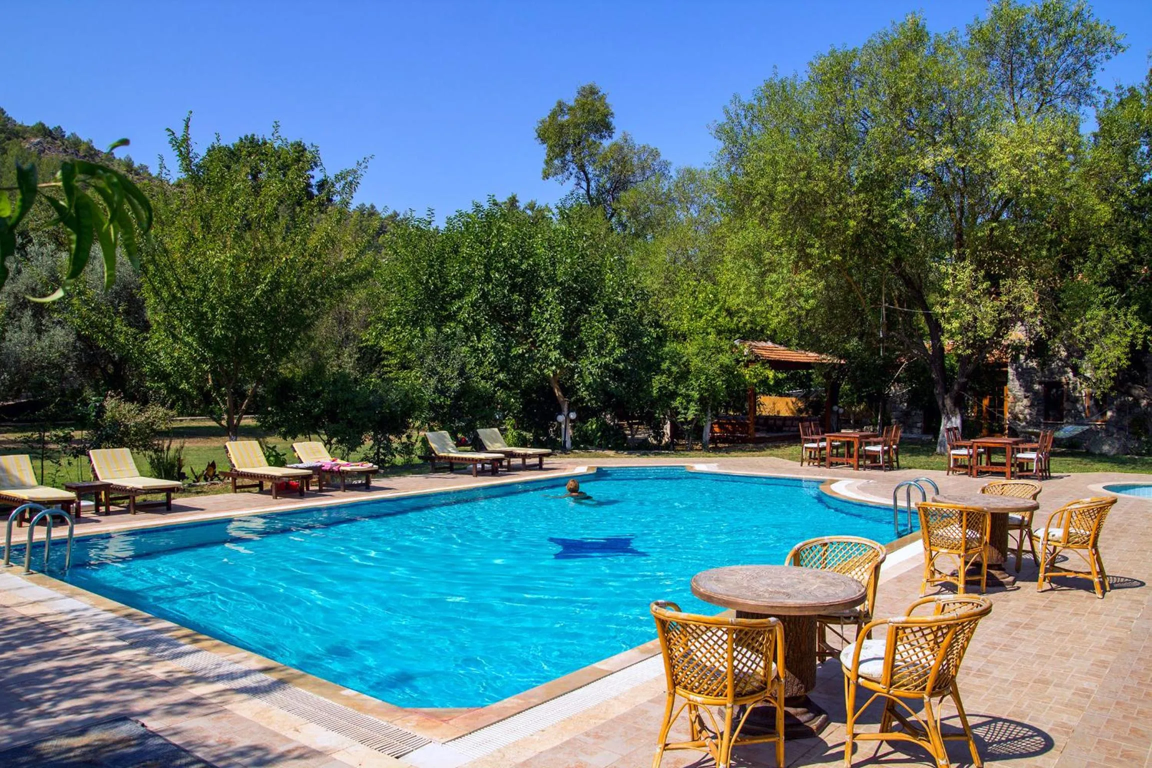 Swimming pool in Doga Apartments