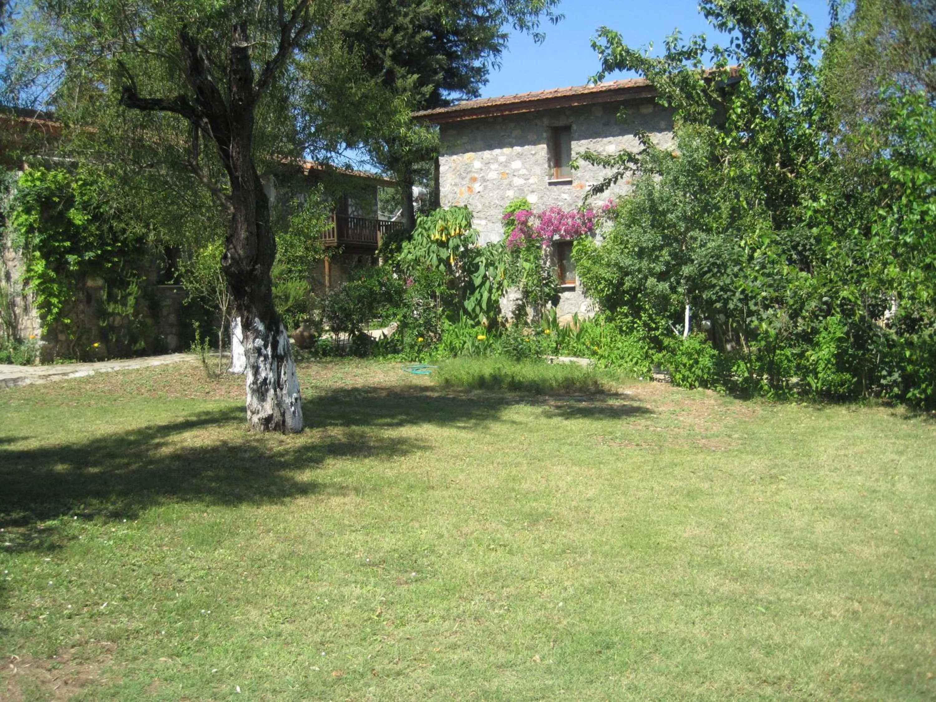 Decorative detail in Doga Apartments