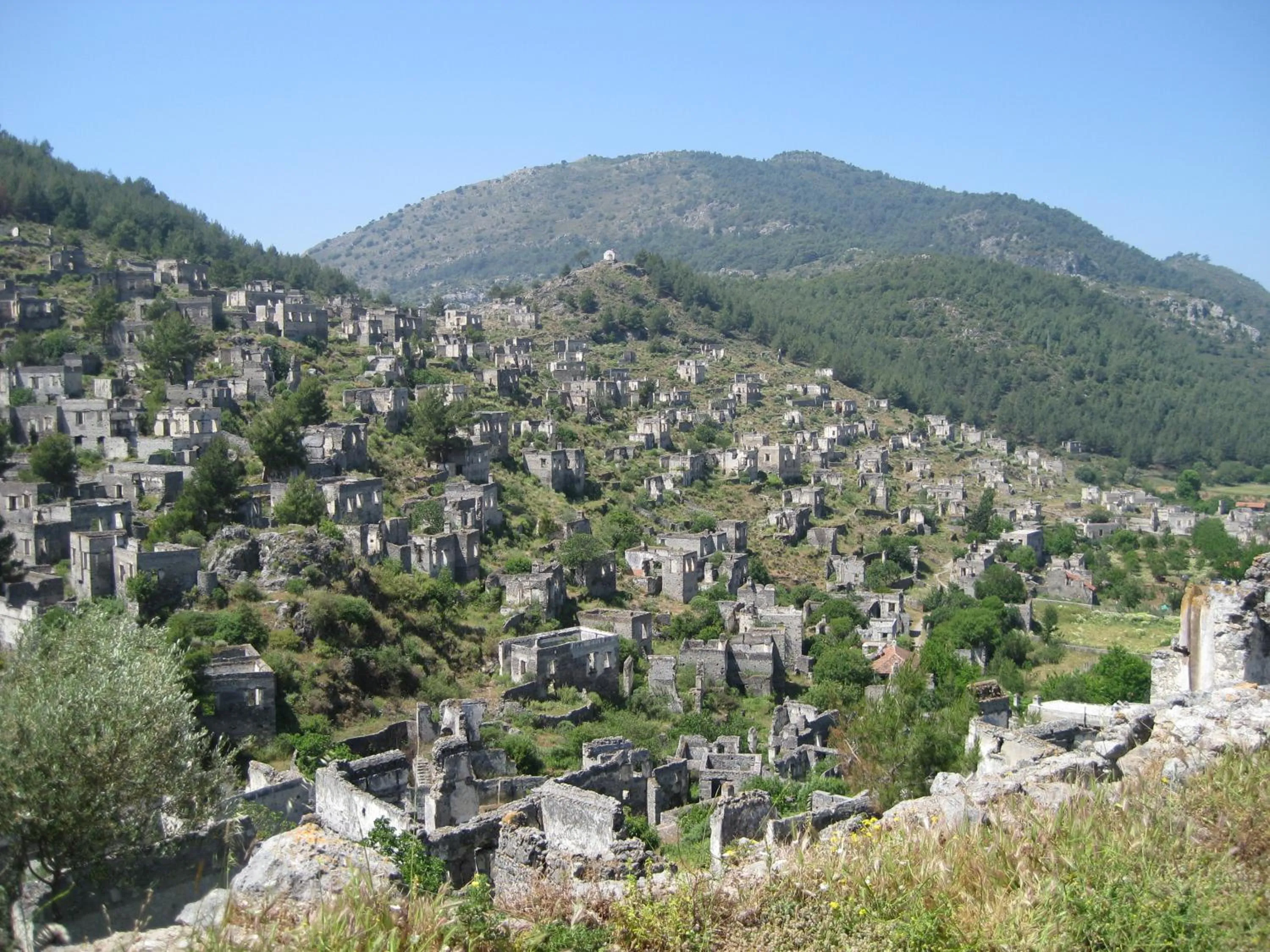 Area and facilities in Doga Apartments