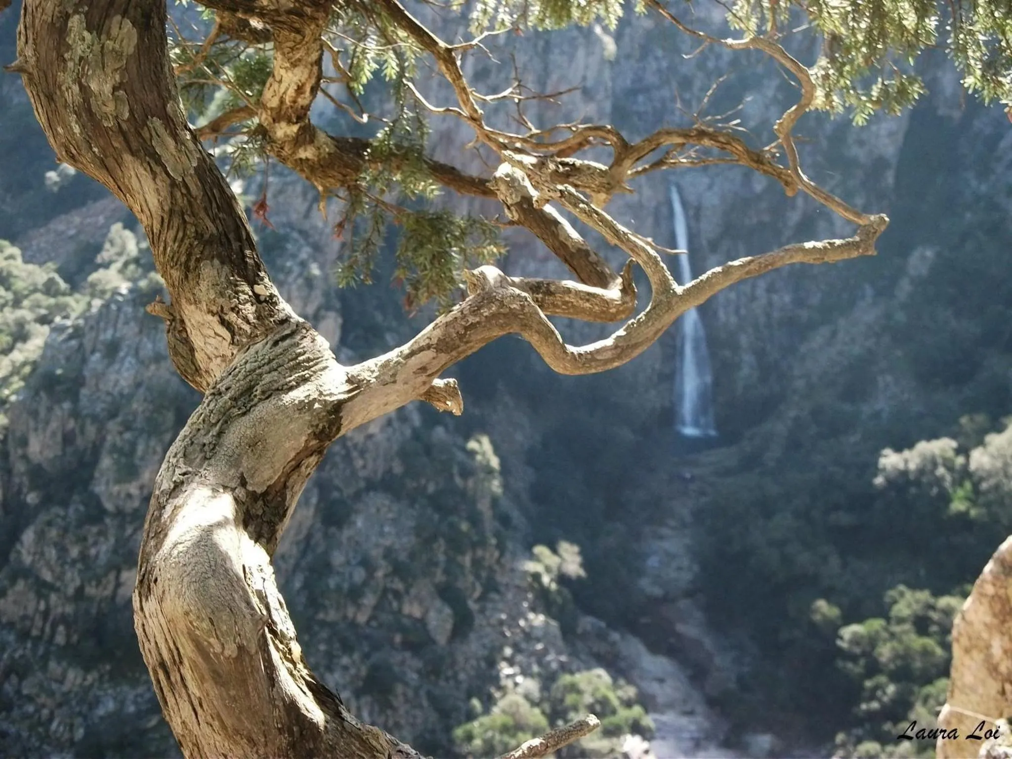 Hiking in Hotel Giardino Corte Rubja