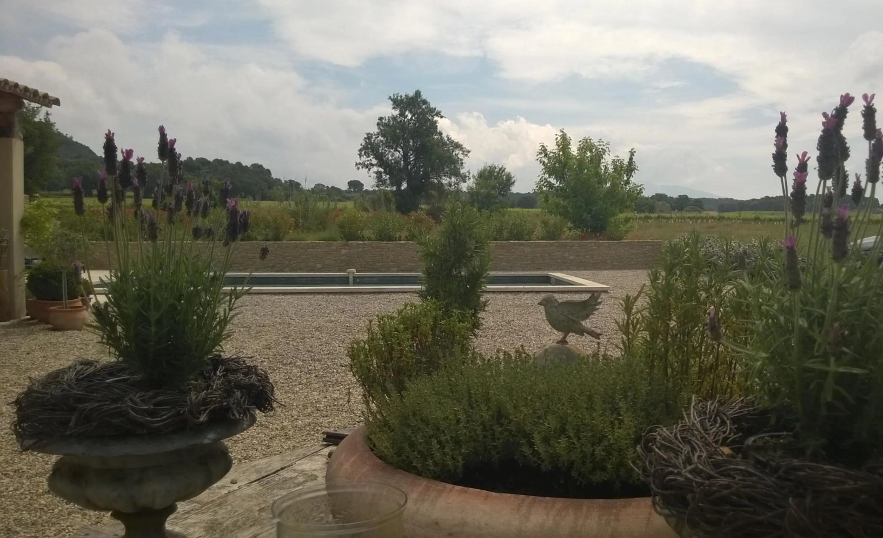 Garden view in Mas du Vieux Tilleul