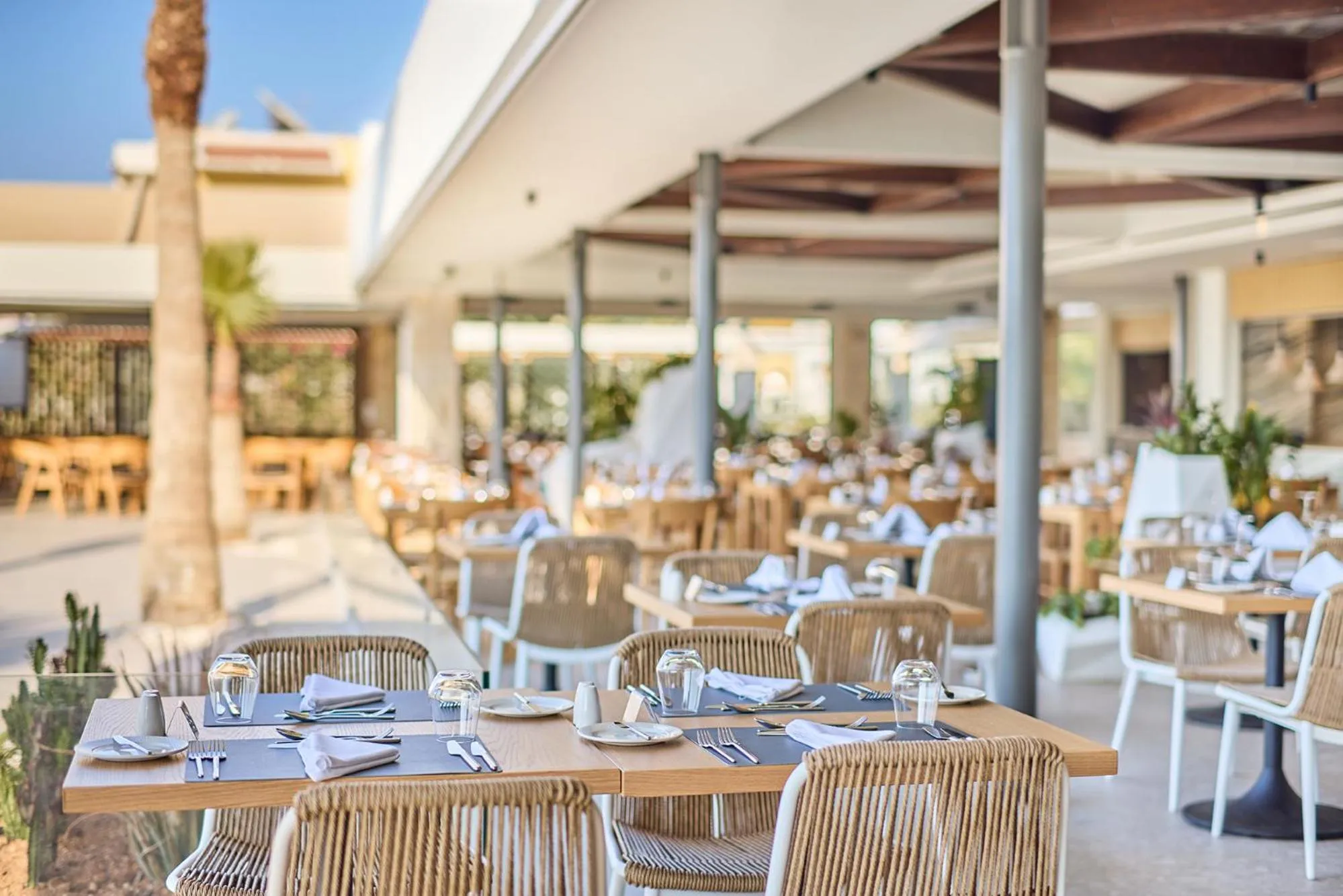 Restaurant/places to eat in Paralos Kosta Alímia